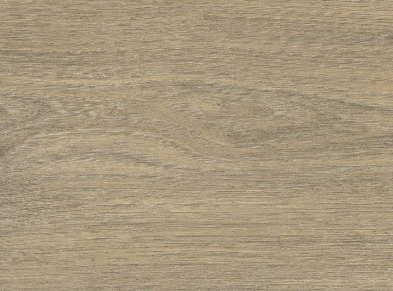 HARO Laminatboden TRITTY 200 Aqua Landhausdiele 4V Ulme Vario* authentic soft Silent CT Top Connect