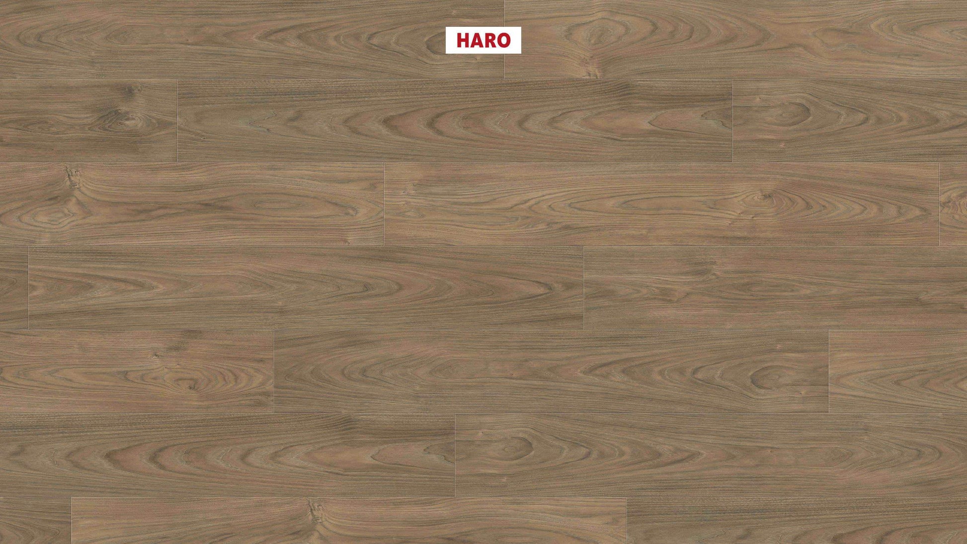 HARO Laminatboden TRITTY 200 Aqua Landhausdiele 4V Ulme Vario* authentic soft Silent CT Top Connect