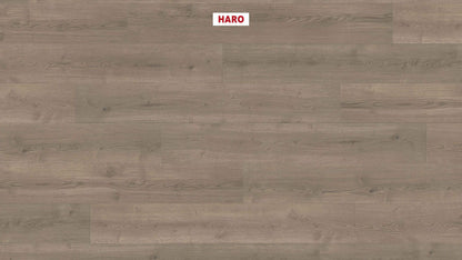 HARO Laminatboden TRITTY 90 Landhausdiele 4V Eiche Bari grau* authentic Top Connect
