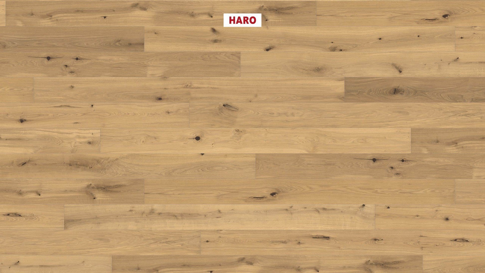 HARO PARKETT 4000 Landhausdiele 180 4V Eiche invisible Sauvage strukturiert naturaLin plus Top Connect