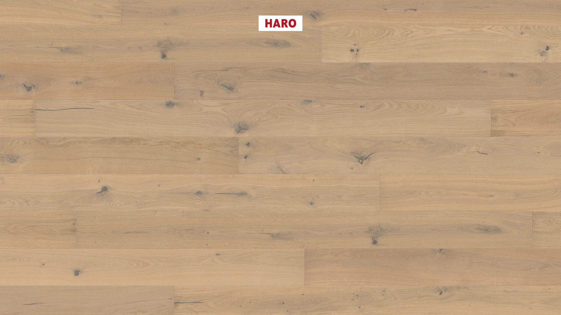 HARO PARKETT 4000 Landhausdiele 180 4V Eiche lichtweiß Sauvage strukturiert naturaLin plus Top Connect