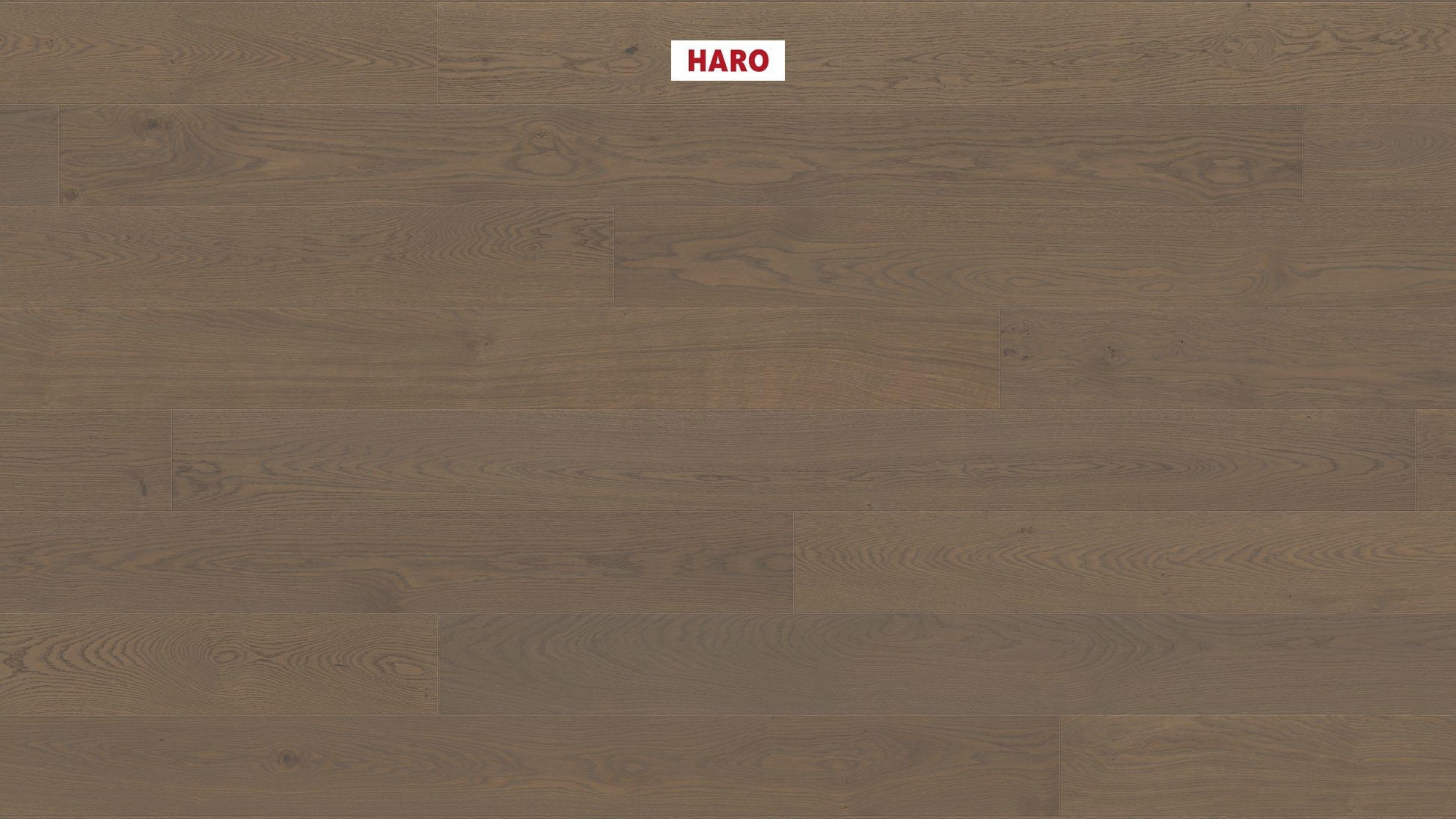 HARO PARKETT 4000 Landhausdiele 180 4V Eiche muschelgrau Markant strukturiert naturaLin plus Top Connect