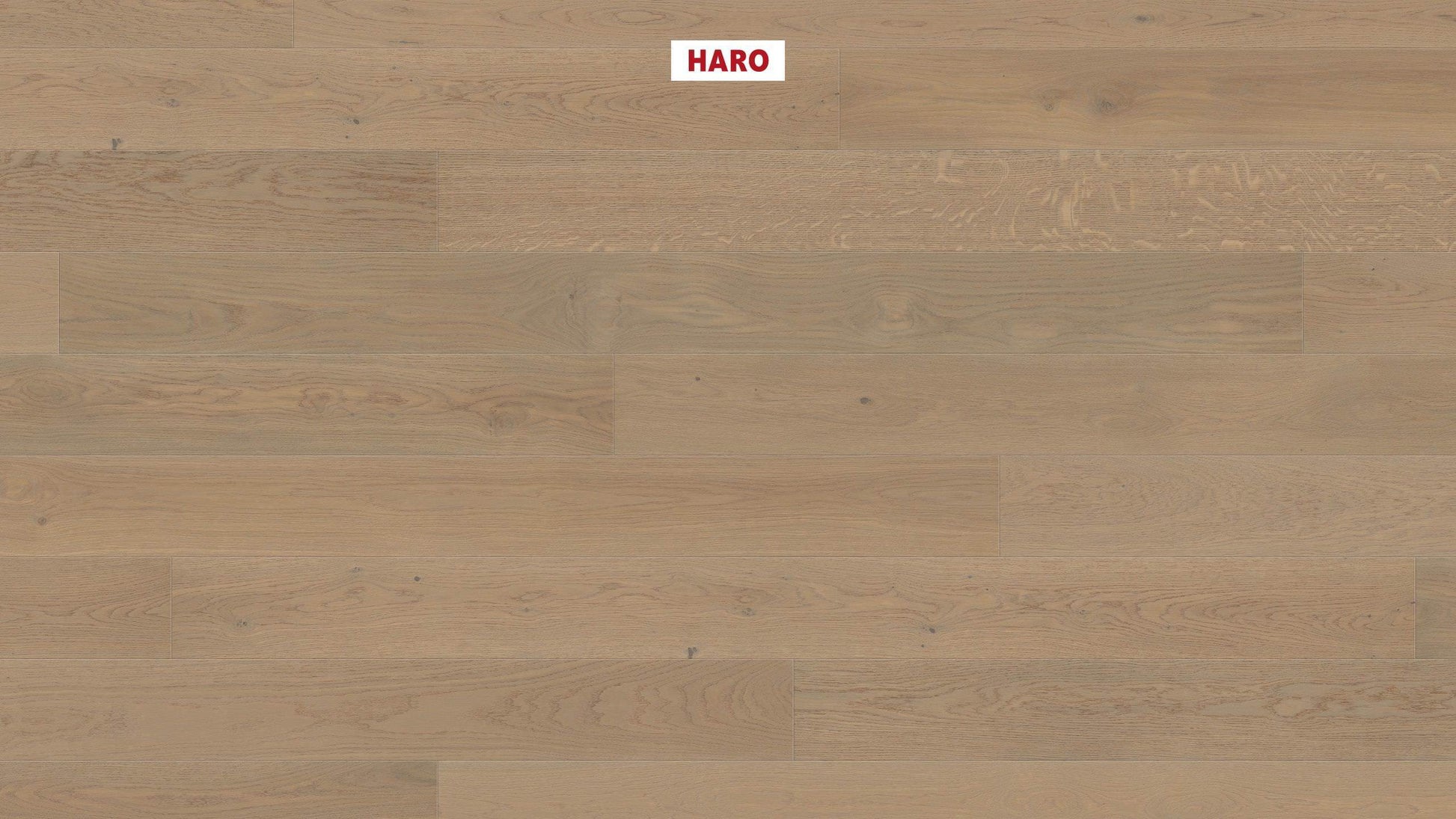 HARO PARKETT 4000 Landhausdiele 180 4V Eiche sandgrau Markant strukturiert naturaLin plus Top Connect