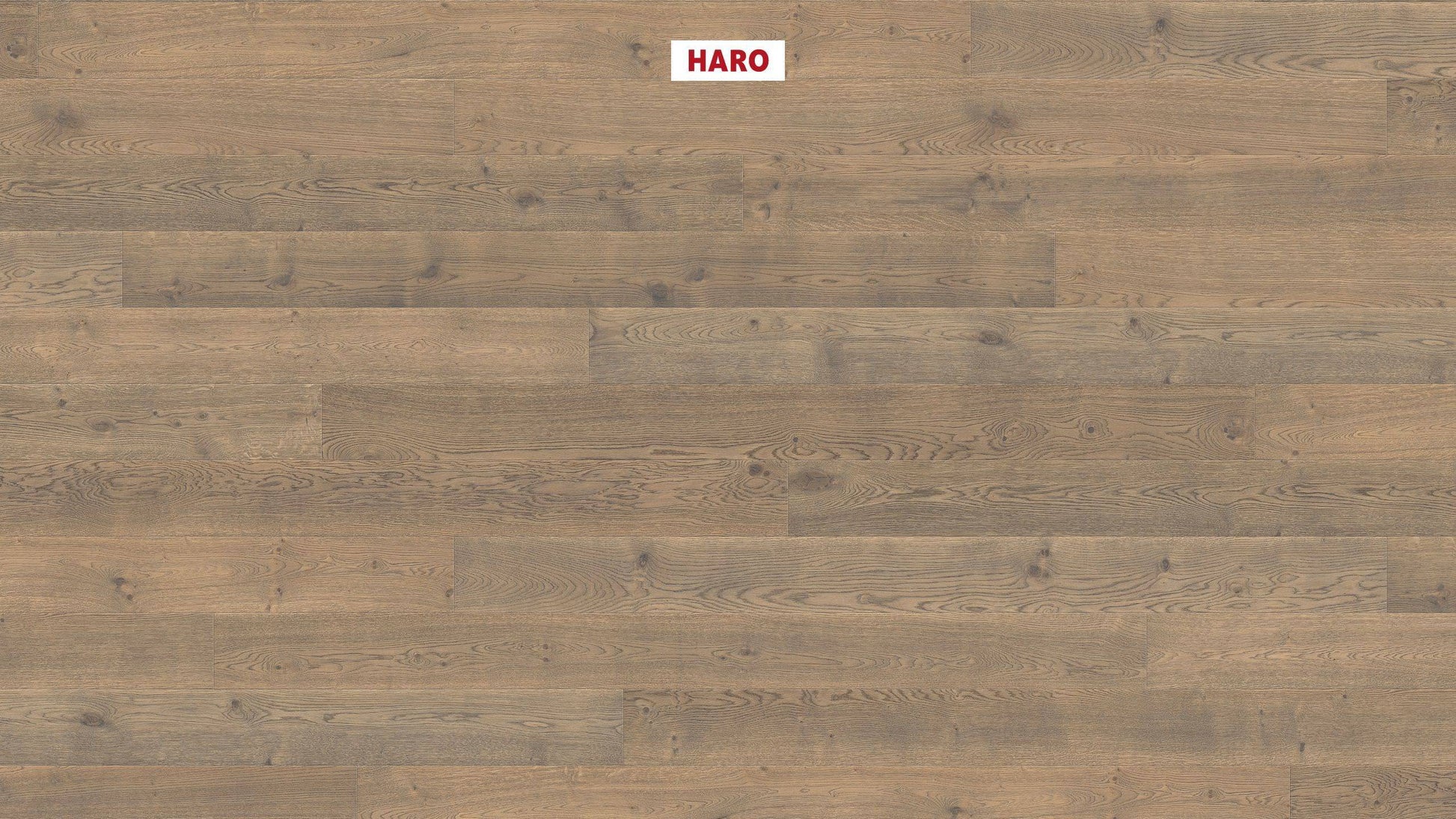 HARO PARKETT 4000 Landhausdiele 180 4V Eiche tabakgrau Sauvage retro strukturiert naturaLin plus Top Connect