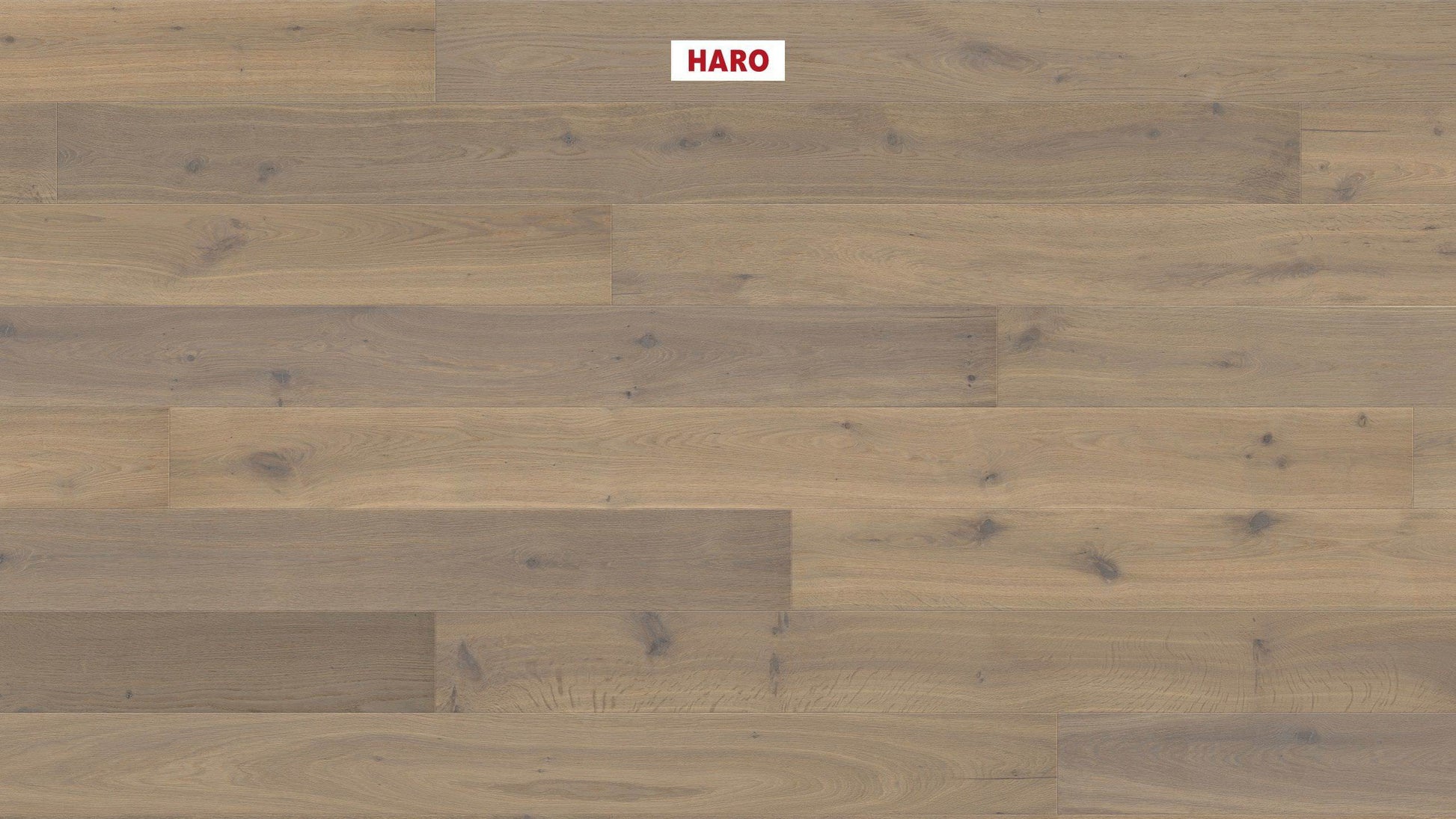 HARO PARKETT 4000 Landhausdiele 180 4V Raucheiche puroweiß Sauvage strukturiert naturaLin plus Top Connect