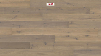 HARO PARKETT 4000 Landhausdiele 180 4V Raucheiche puroweiß Sauvage strukturiert naturaLin plus Top Connect