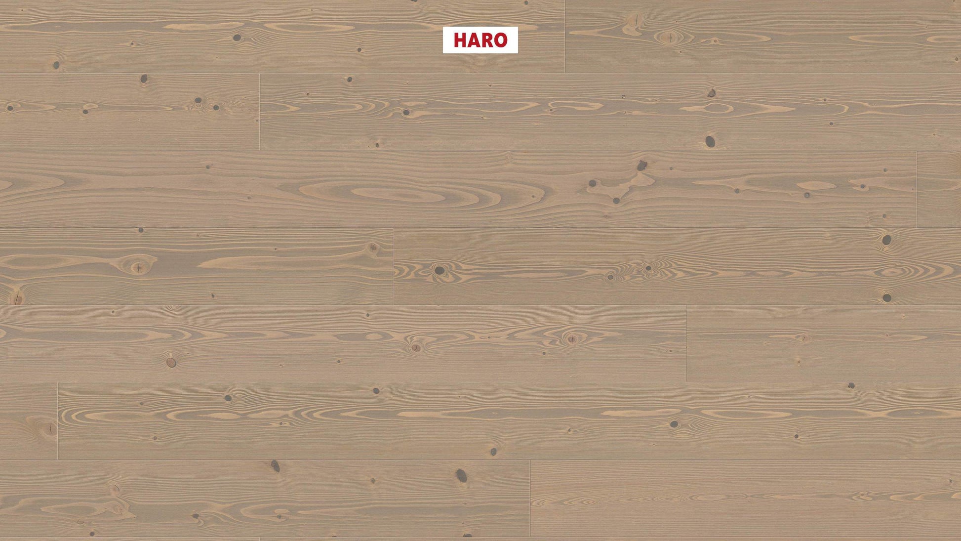 HARO PARKETT 4000 Landhausdiele 180 4V Tanne pastellgrau Universal strukturiert naturaDur Top Connect