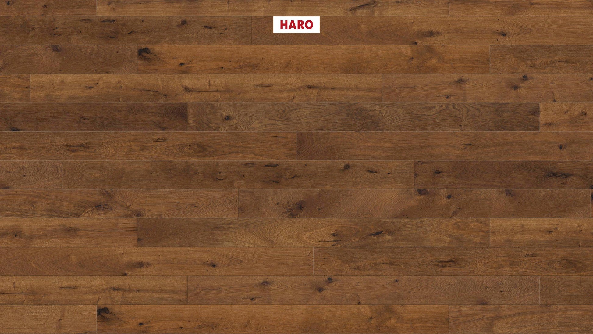 HARO PARKETT 4000 Landhausdiele Maxim 4V Bernsteineiche Sauvage strukturiert naturaLin plus Nut & Feder