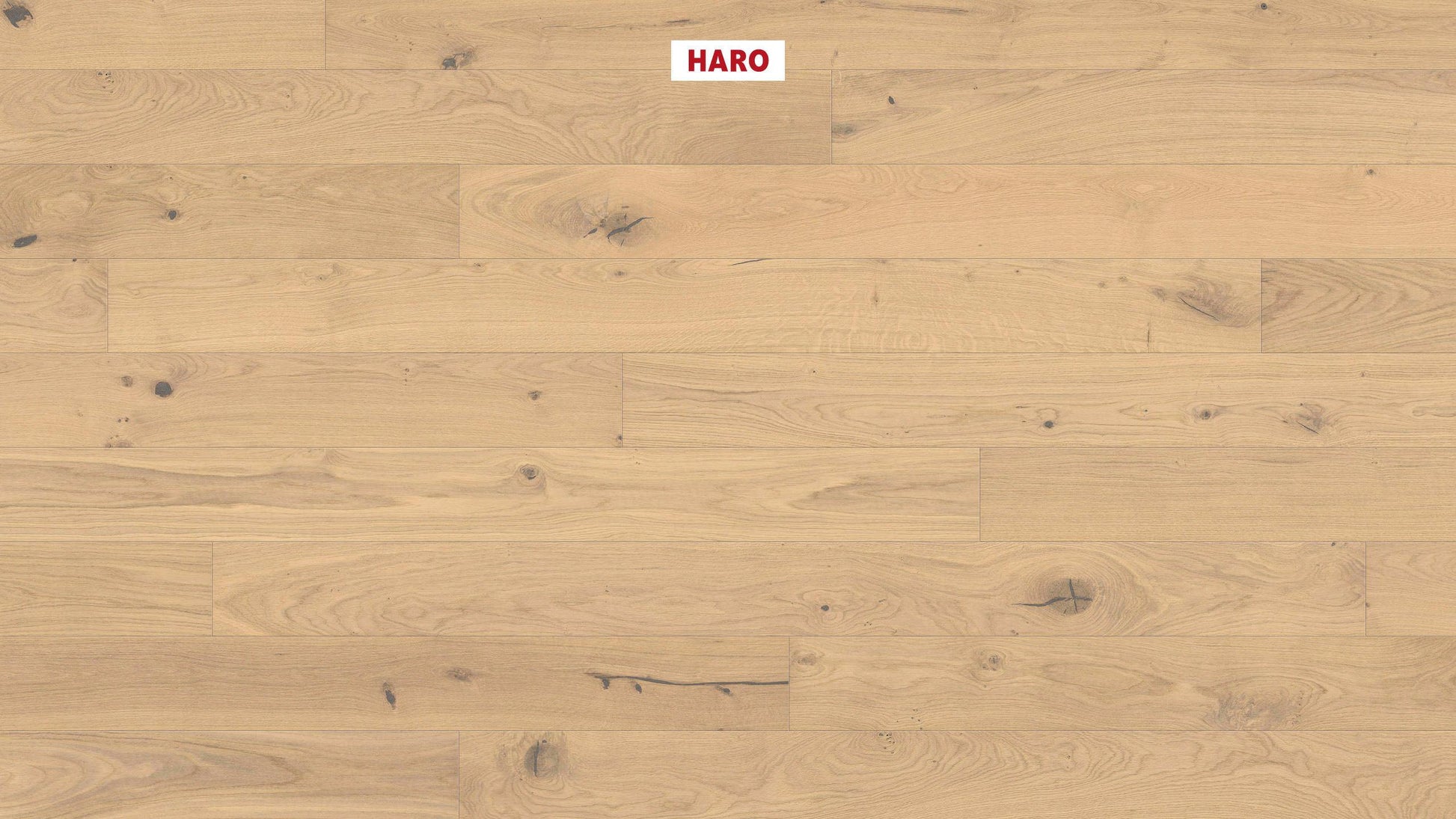 HARO PARKETT 4000 Landhausdiele Maxim 4V Eiche invisible Sauvage strukturiert naturaDur Nut & Feder