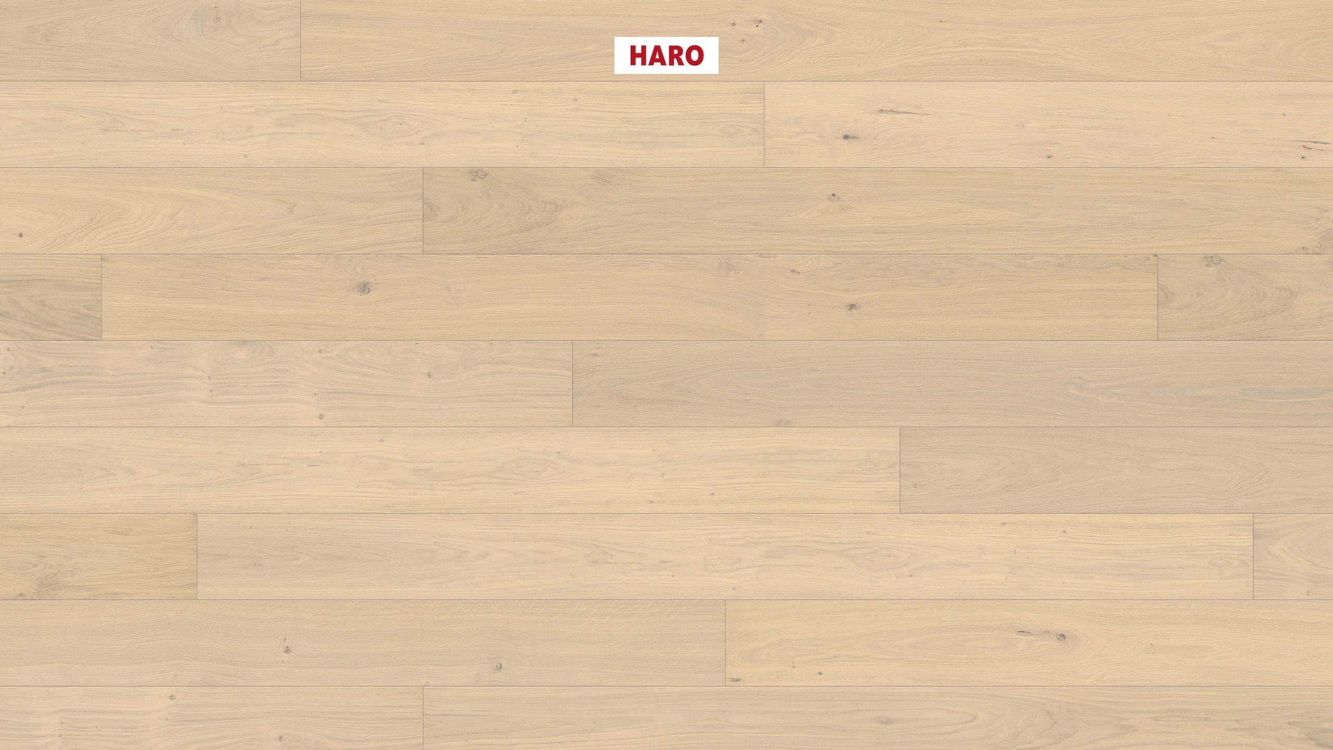 HARO PARKETT 4000 Landhausdiele Maxim 4V Eiche lichtweiß Markant strukturiert naturaDur Nut & Feder