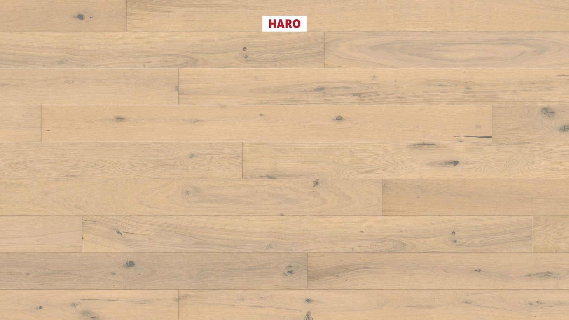 HARO PARKETT 4000 Landhausdiele Maxim 4V Eiche lichtweiß Sauvage strukturiert naturaDur Nut & Feder
