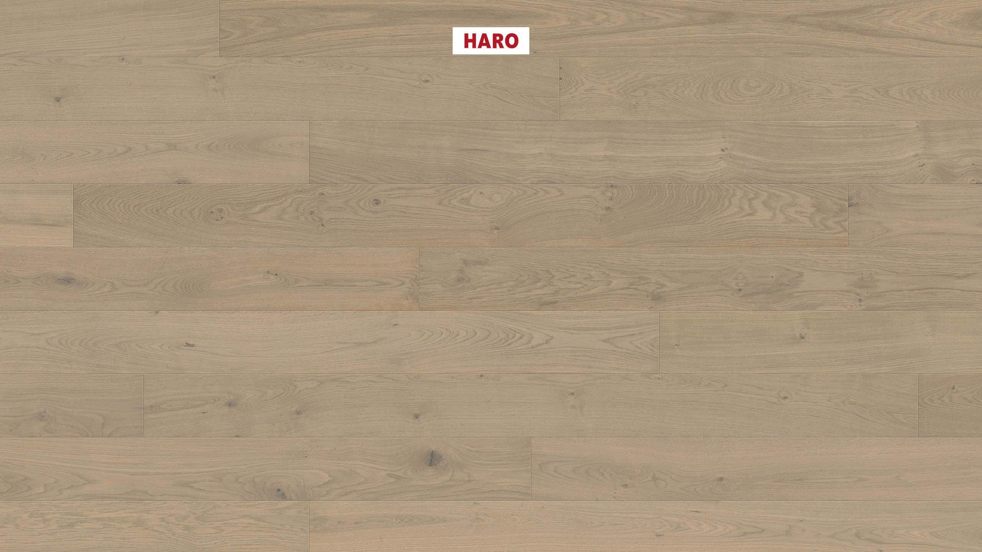 HARO PARKETT 4000 Landhausdiele Maxim 4V Eiche sandgrau Markant strukturiert naturaDur Nut & Feder