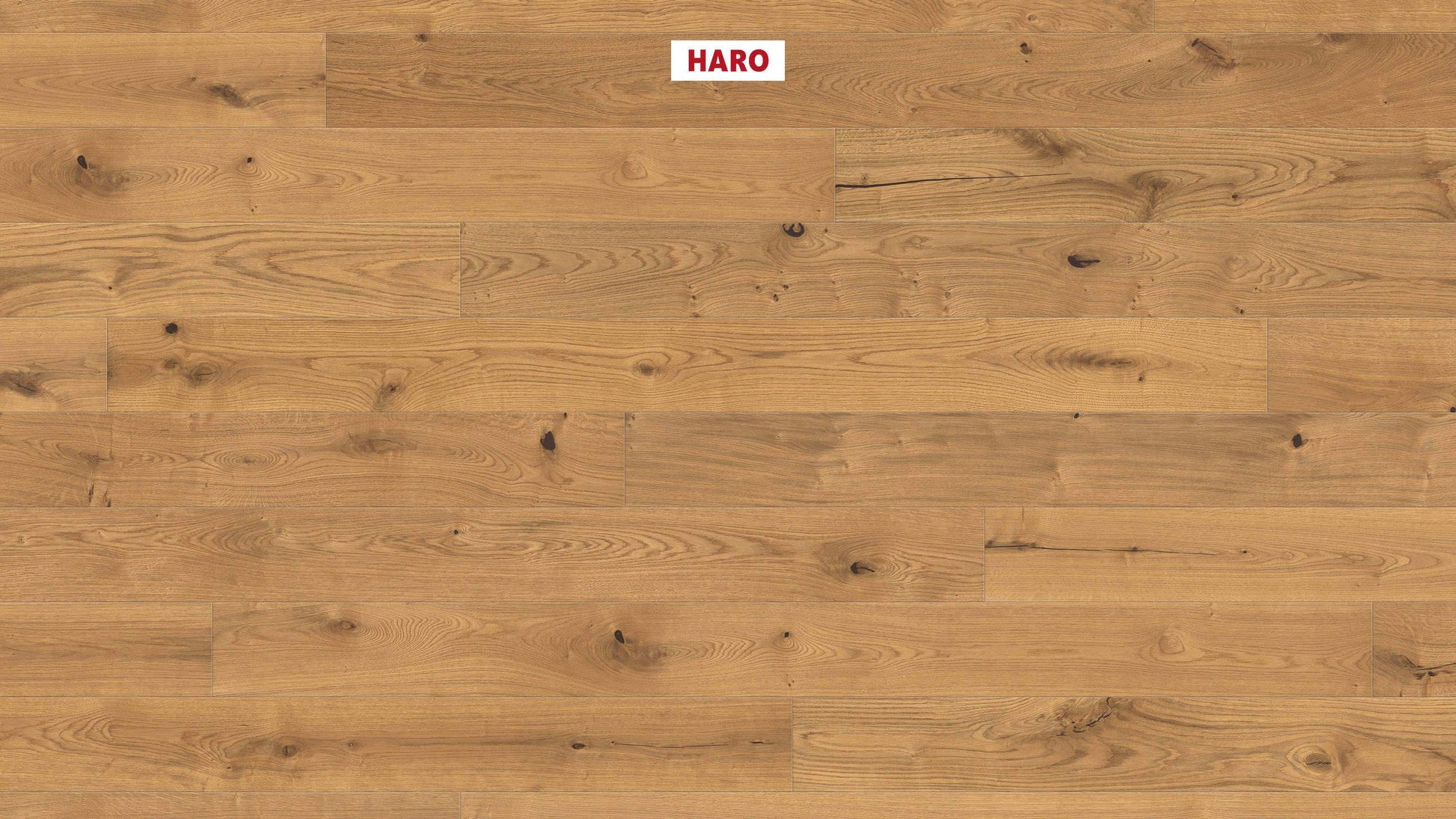 HARO PARKETT 4000 Landhausdiele Maxim 4V Eiche Sauvage strukturiert naturaDur Nut & Feder
