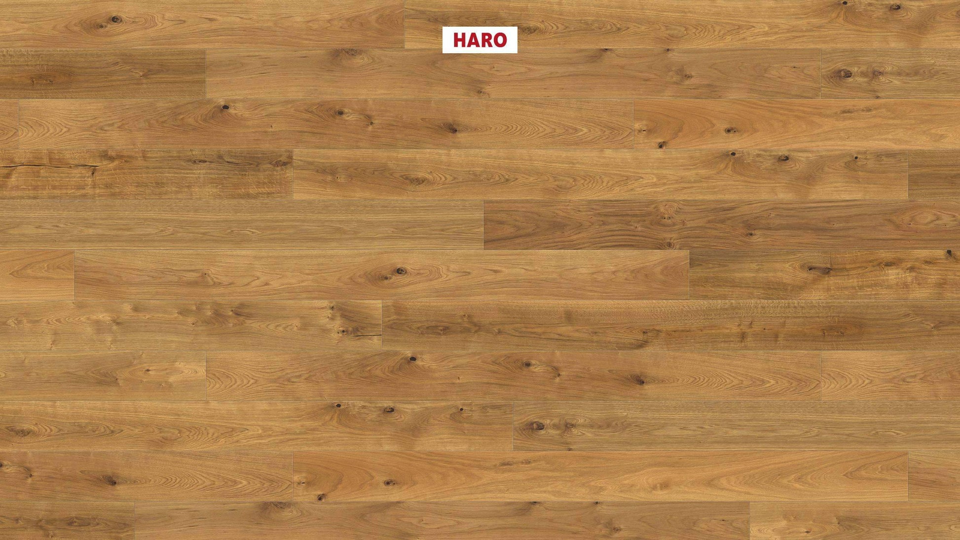 HARO PARKETT 4000 Landhausdiele Maxim 4V Eiche Sauvage strukturiert naturaLin plus Nut & Feder