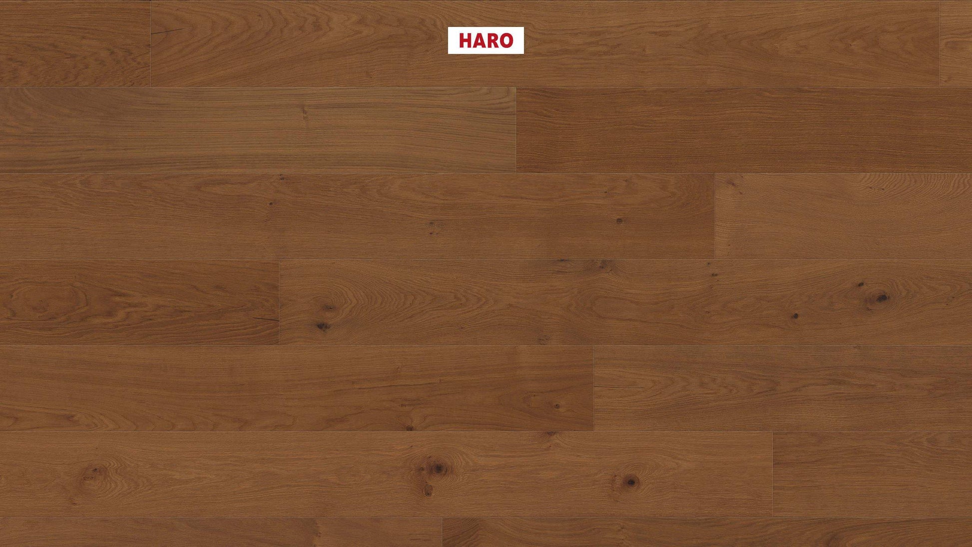 HARO PARKETT 4000 Landhausdiele Plaza 240 4V Bernsteineiche Markant strukturiert naturaDur Top Connect