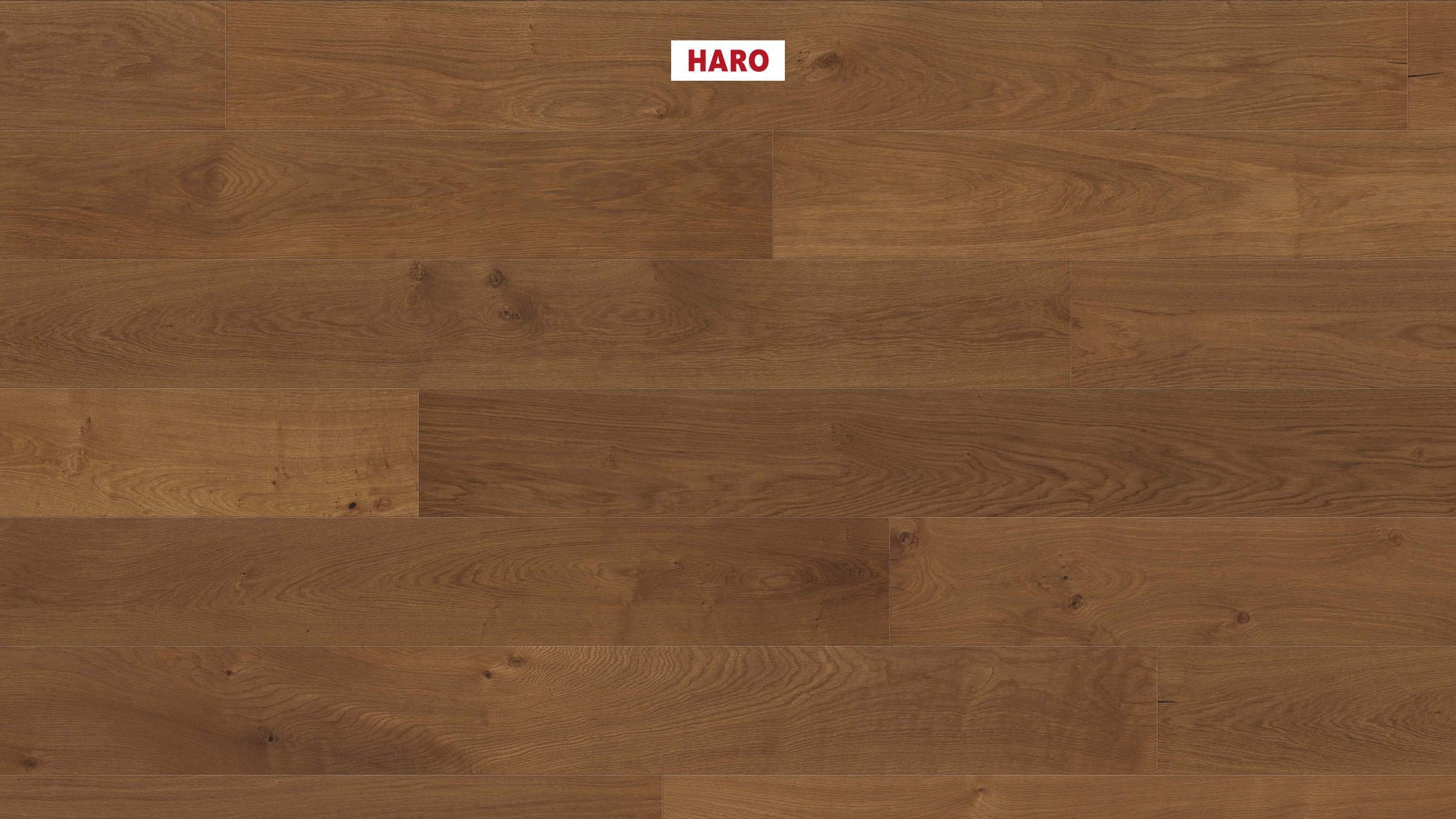 HARO PARKETT 4000 Landhausdiele Plaza 240 4V Bernsteineiche Markant strukturiert naturaLin plus Top Connect