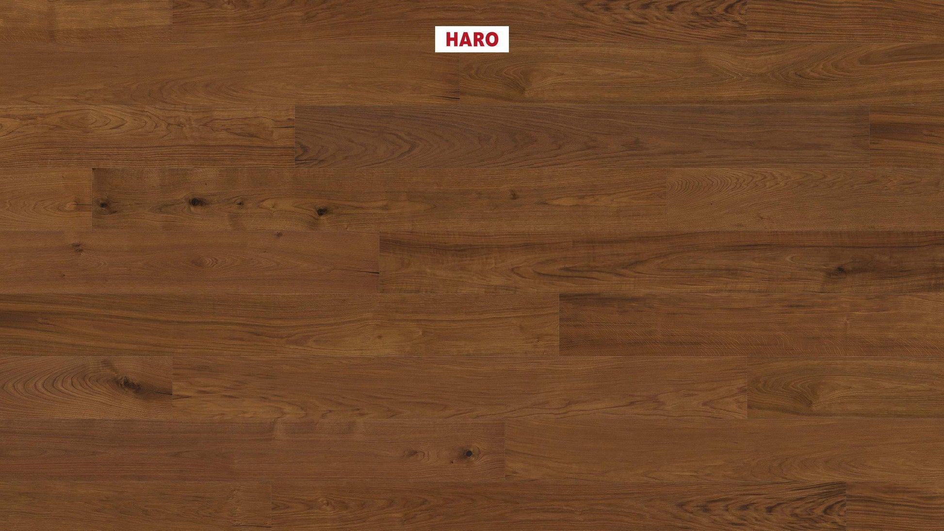 HARO PARKETT 4000 Landhausdiele Plaza 240 4V Bernsteineiche Sauvage strukturiert naturaDur Top Connect