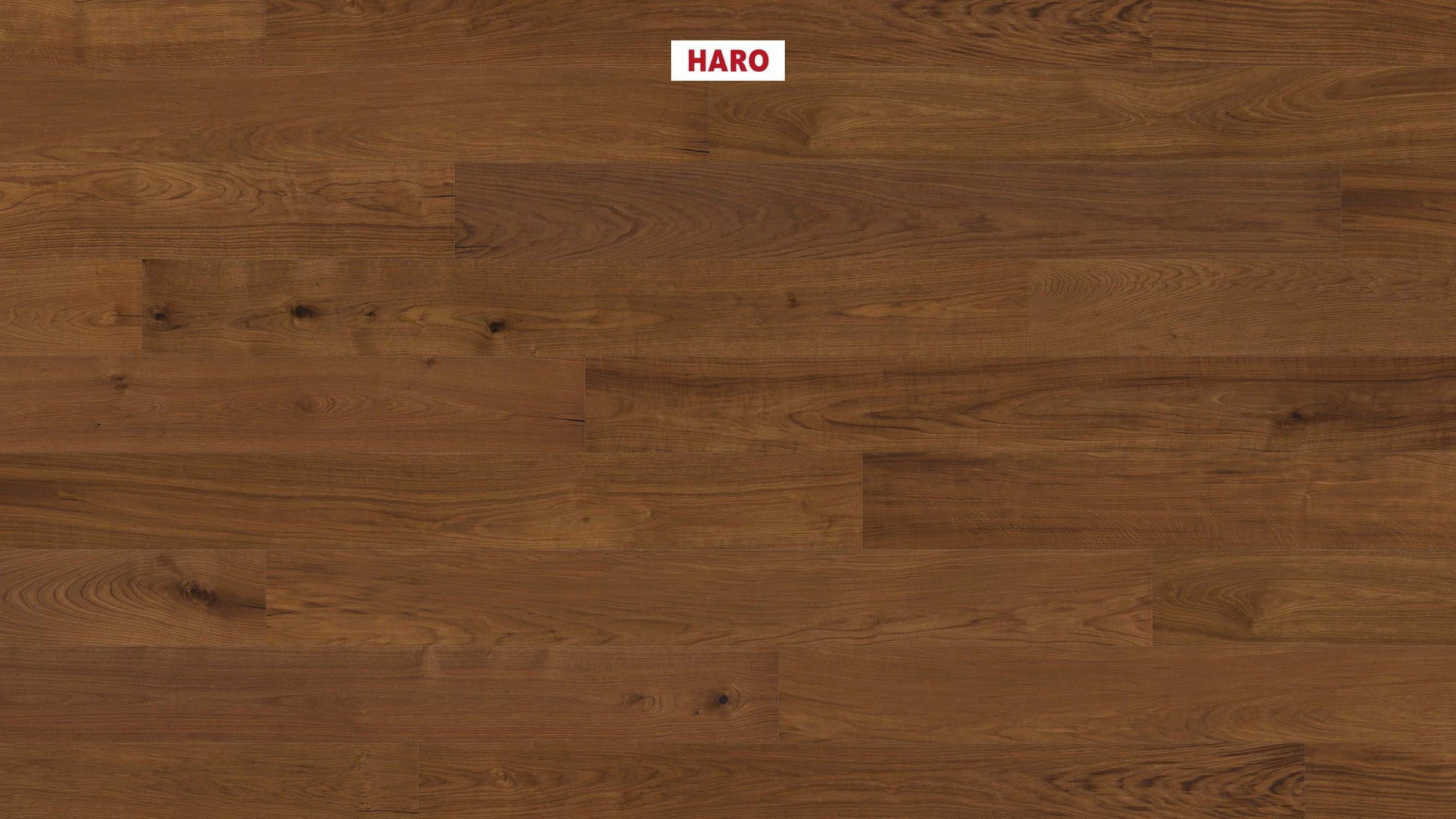 HARO PARKETT 4000 Landhausdiele Plaza 240 4V Bernsteineiche Sauvage strukturiert naturaLin plus Top Connect