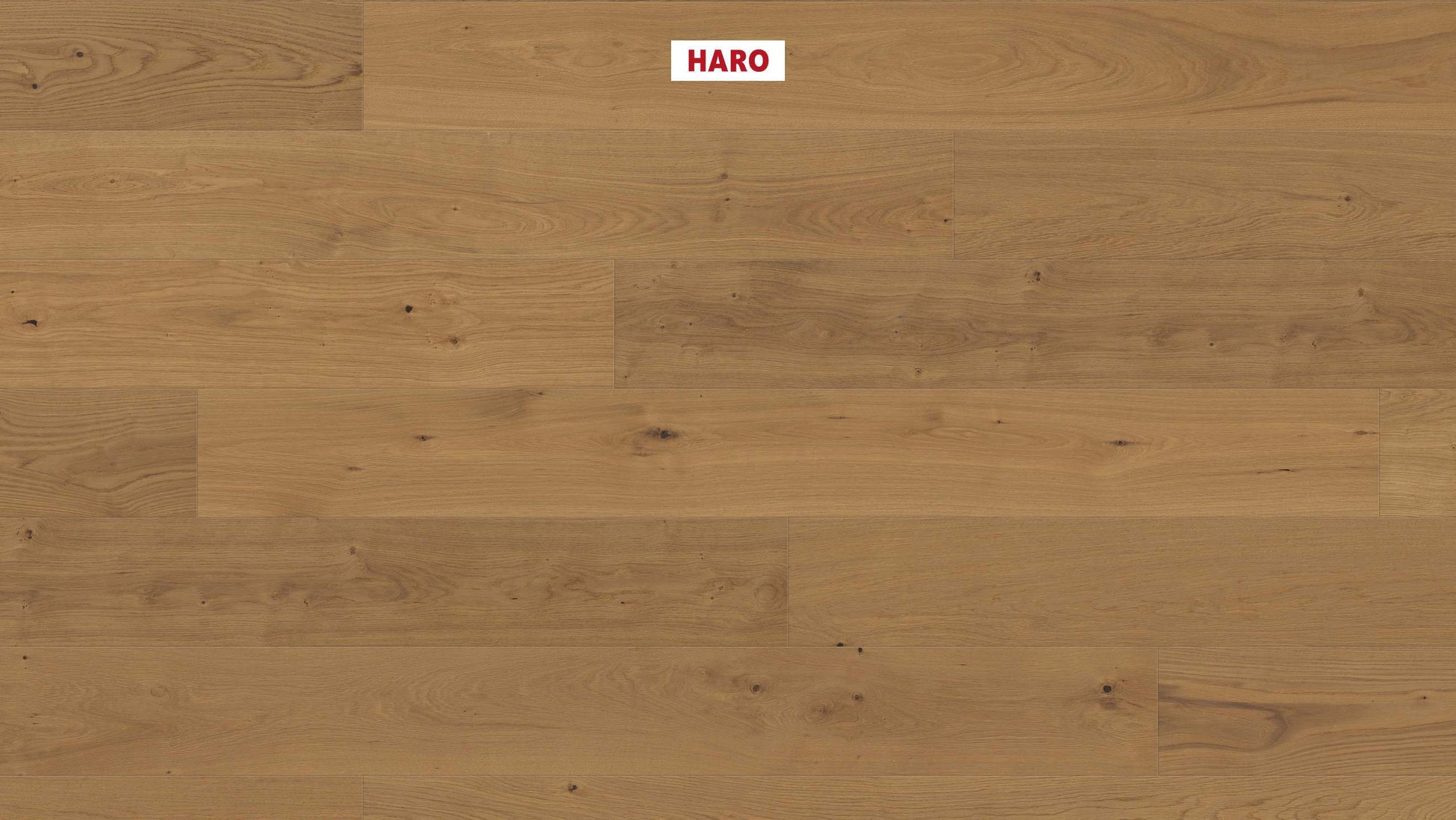 HARO PARKETT 4000 Landhausdiele Plaza 240 4V Eiche invisible Markant strukturiert naturaDur Top Connect