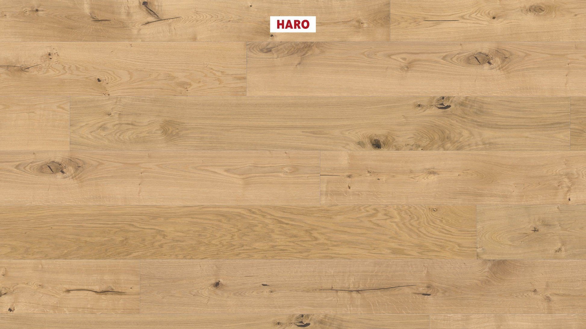 HARO PARKETT 4000 Landhausdiele Plaza 240 4V Eiche invisible Sauvage strukturiert naturaLin plus Top Connect