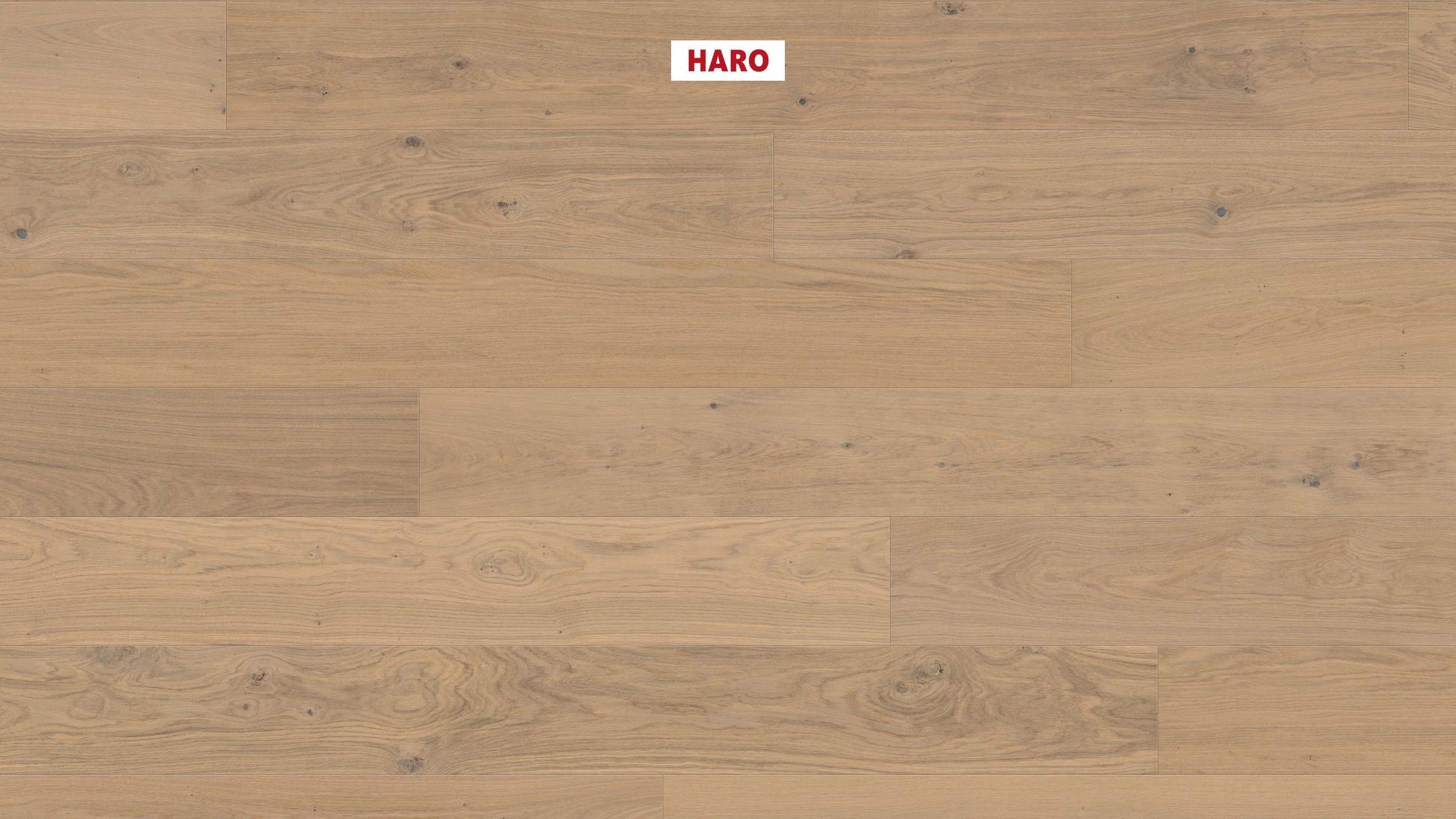 HARO PARKETT 4000 Landhausdiele Plaza 240 4V Eiche lichtweiß Sauvage strukturiert naturaLin plus Top Connect