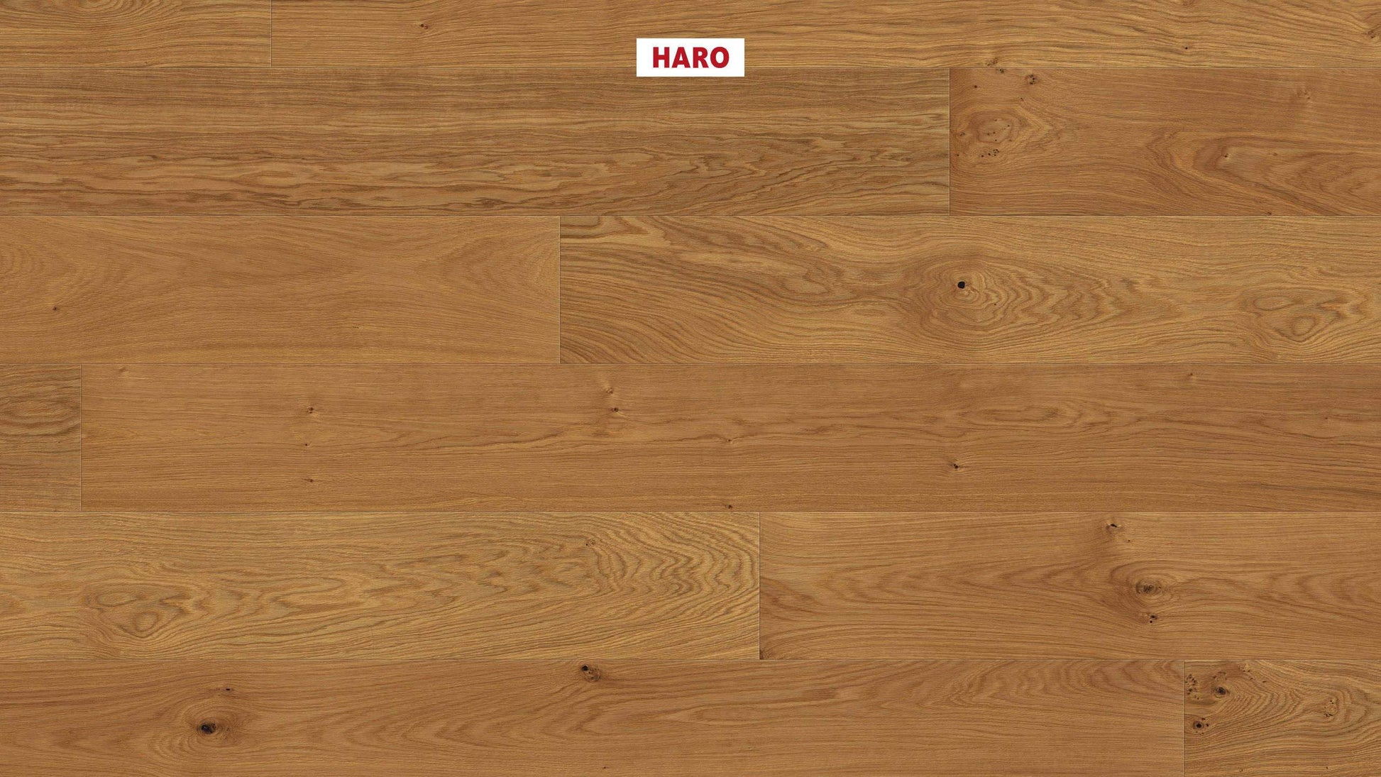 HARO PARKETT 4000 Landhausdiele Plaza 240 4V Eiche Markant strukturiert naturaLin plus Top Connect