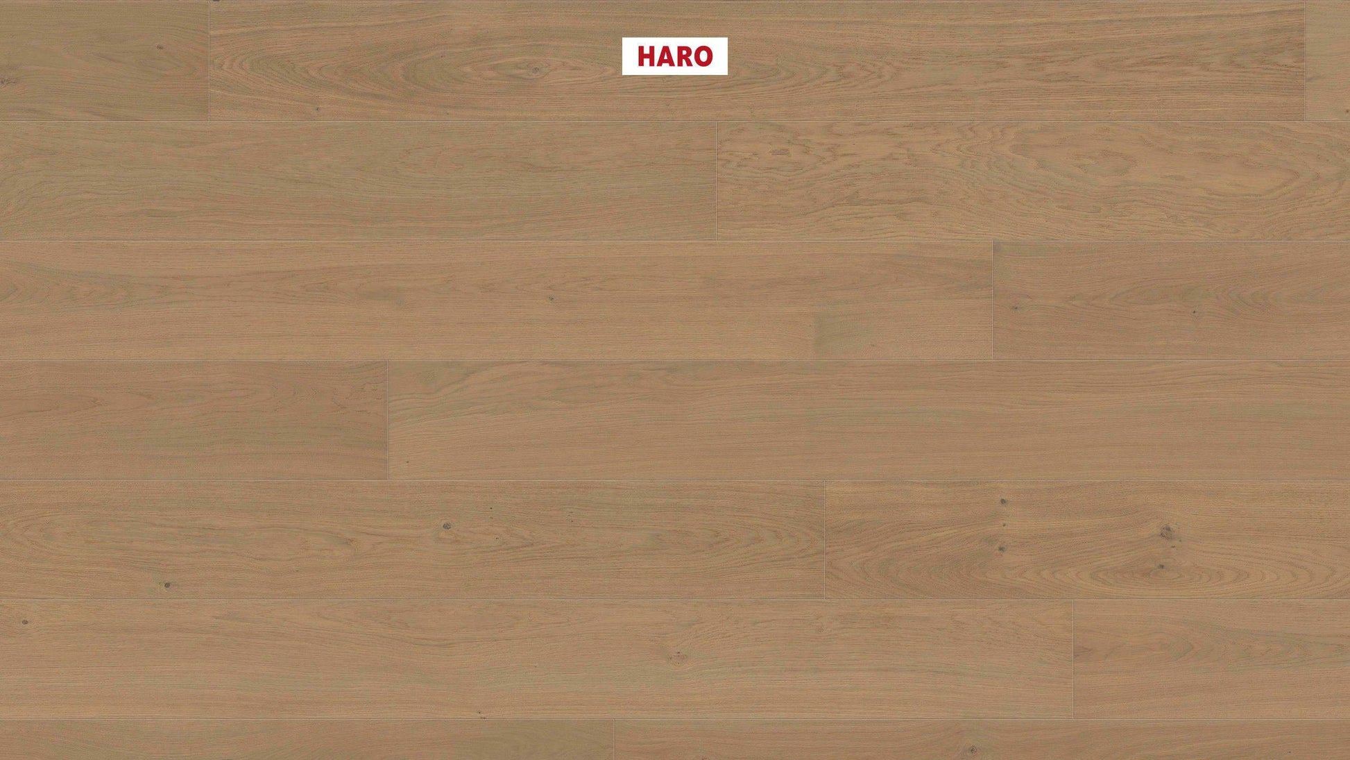 HARO PARKETT 4000 Landhausdiele Plaza 240 4V Eiche sandgrau Markant strukturiert naturaDur Top Connect