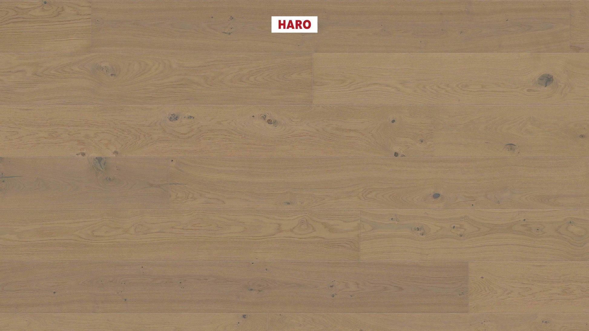 HARO PARKETT 4000 Landhausdiele Plaza 240 4V Eiche sandgrau Sauvage strukturiert naturaDur Top Connect