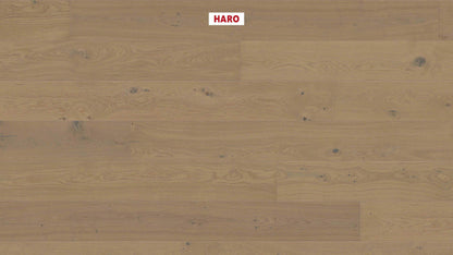 HARO PARKETT 4000 Landhausdiele Plaza 240 4V Eiche sandgrau Sauvage strukturiert naturaDur Top Connect