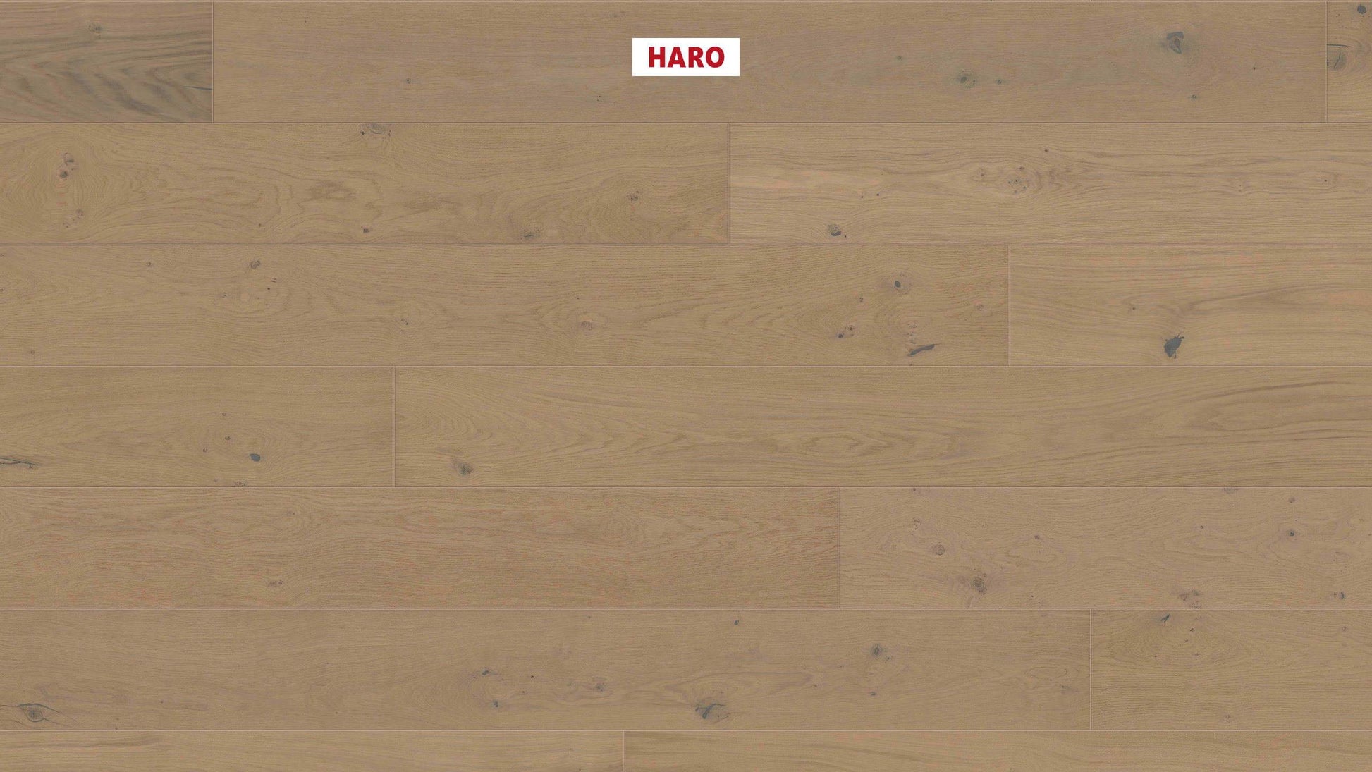 HARO PARKETT 4000 Landhausdiele Plaza 240 4V Eiche sandgrau Sauvage strukturiert naturaLin plus Top Connect