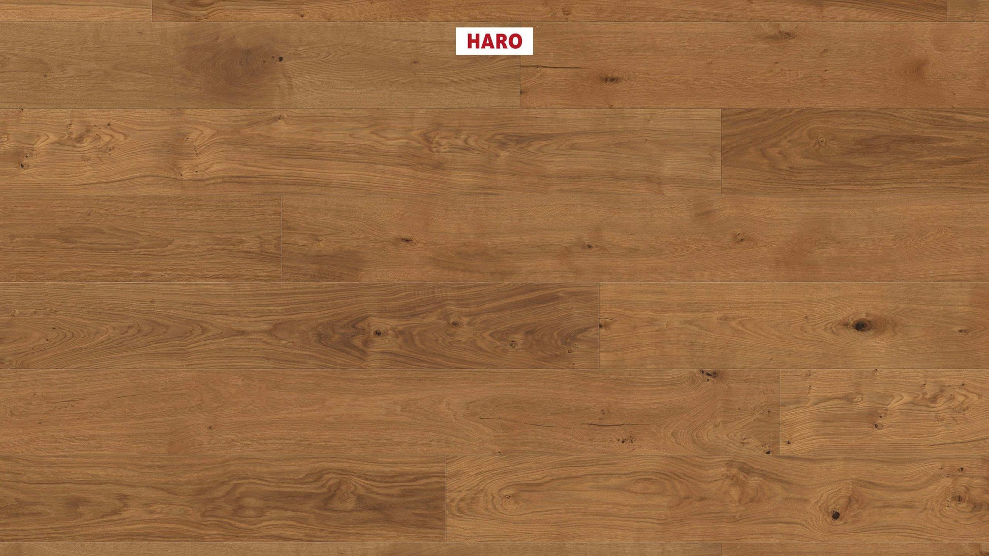 HARO PARKETT 4000 Landhausdiele Plaza 240 4V Eiche Sauvage strukturiert naturaDur Top Connect