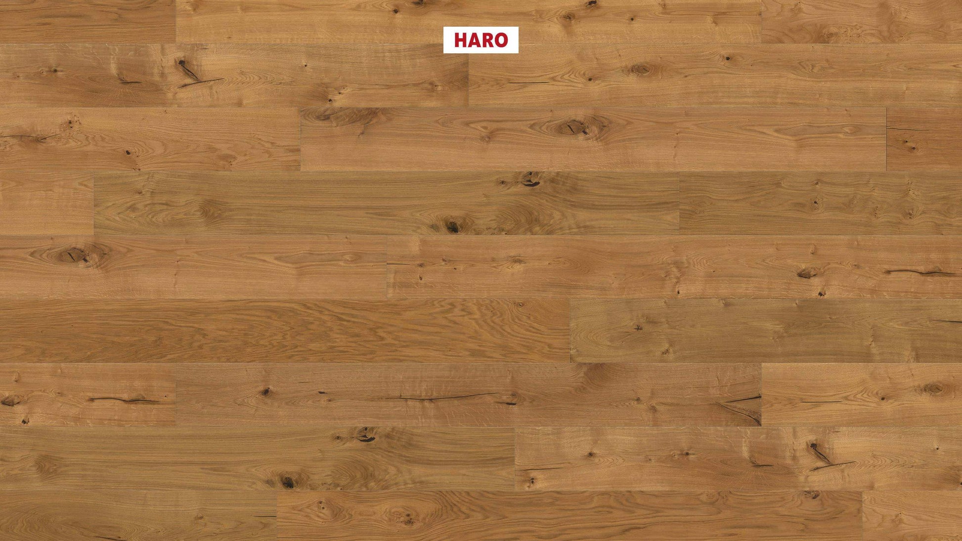 HARO PARKETT 4000 Landhausdiele Plaza 240 4V Eiche Sauvage strukturiert naturaLin plus Top Connect