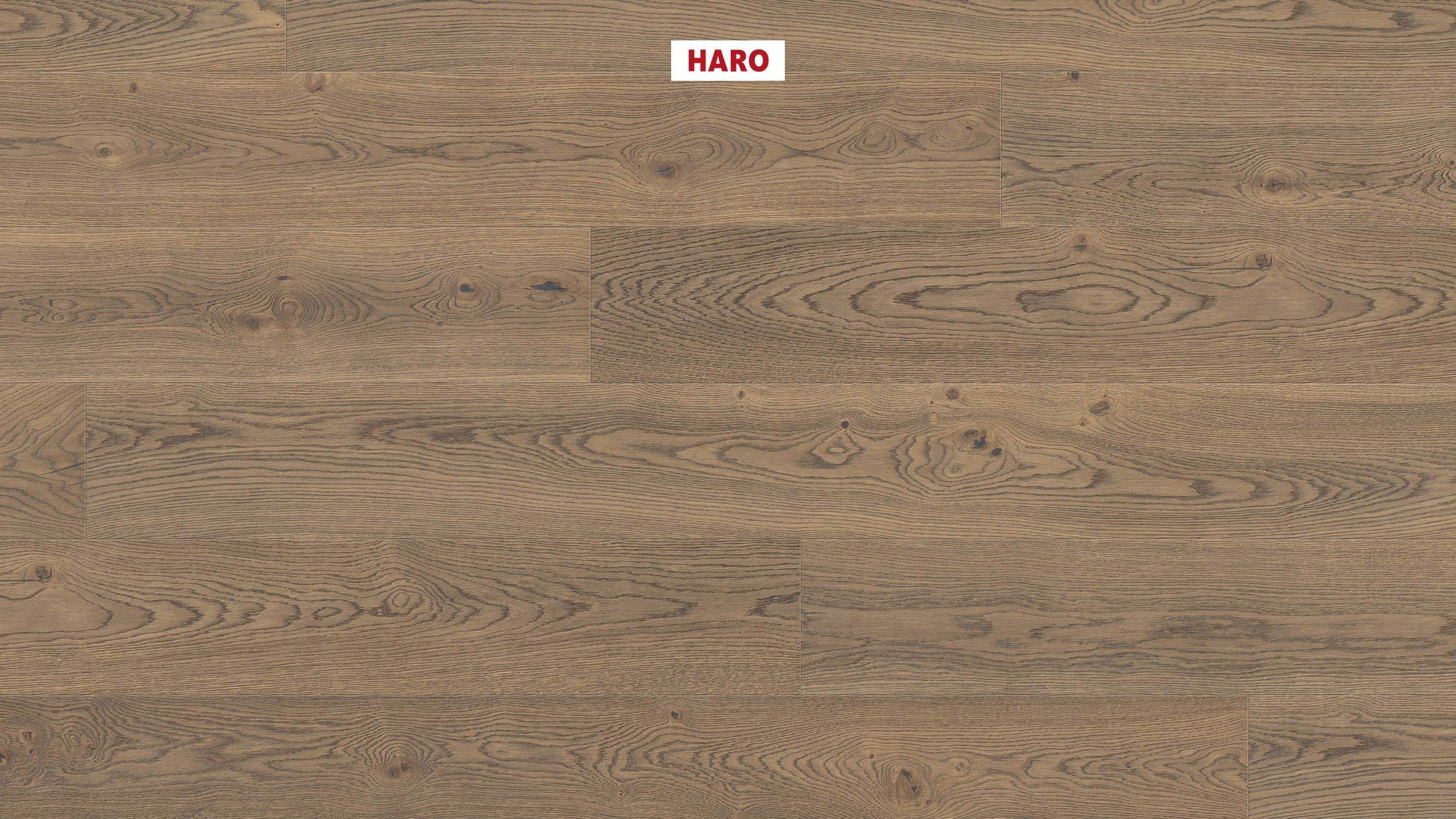HARO PARKETT 4000 Landhausdiele Plaza 240 4V Eiche tabakgrau Universal alpin strukturiert naturaLin plus Top Connect