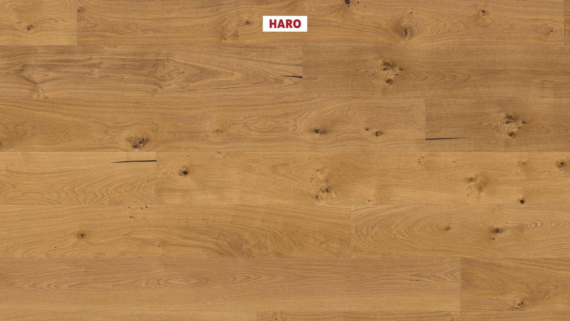 HARO PARKETT 4000 Landhausdiele Plaza 240 4V Eiche Universal alpin strukturiert naturaLin plus Top Connect