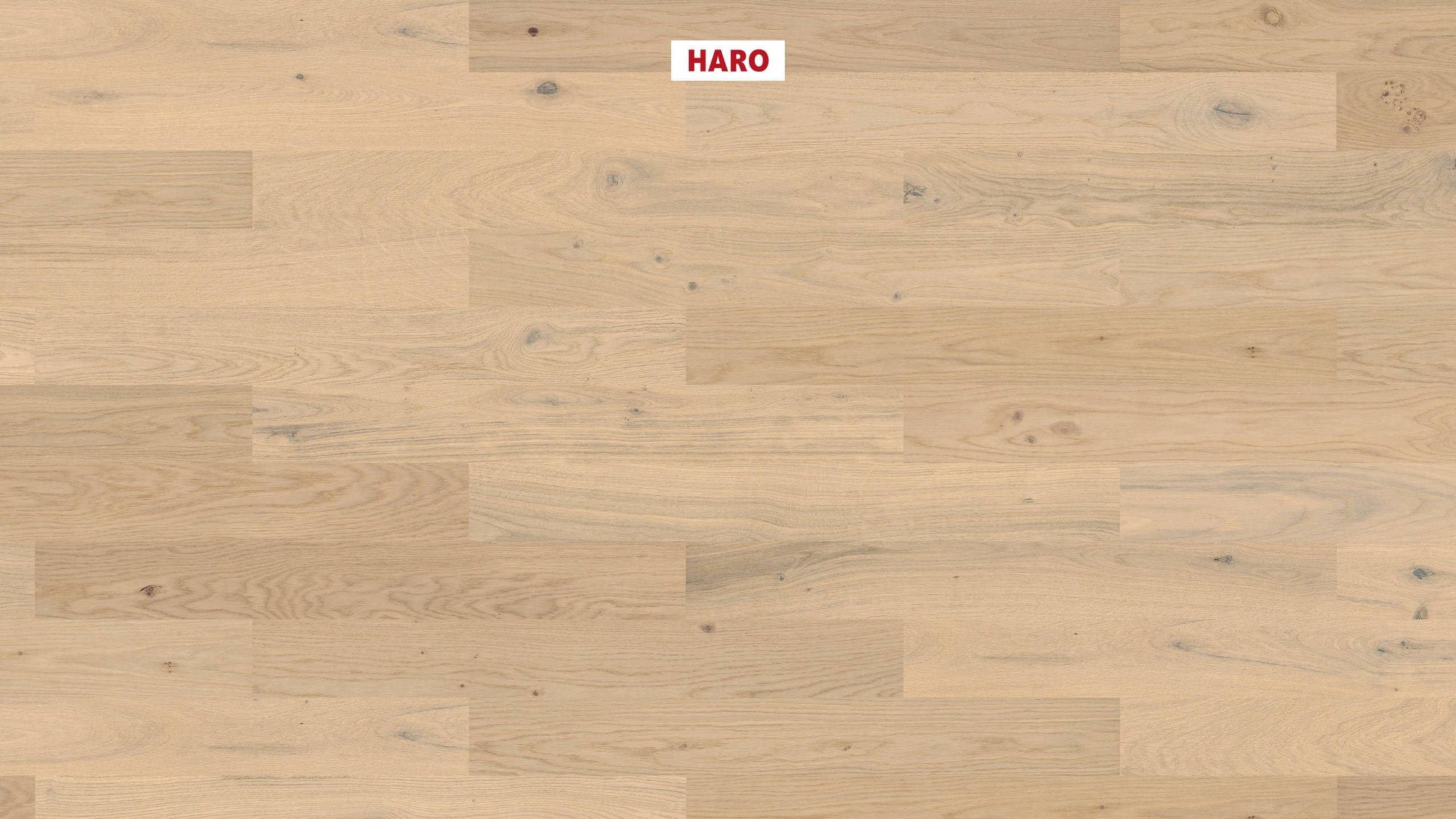 HARO PARKETT 4000 Landhausdiele Prestige Eiche lichtweiß Sauvage strukturiert naturaDur Nut & Feder