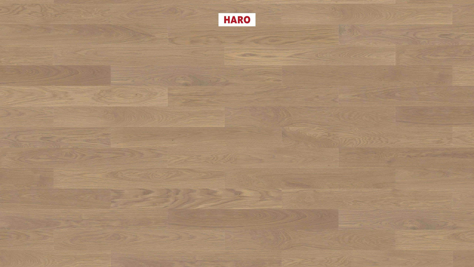 HARO PARKETT 4000 Landhausdiele Prestige Eiche sandgrau Markant strukturiert naturaDur Nut & Feder