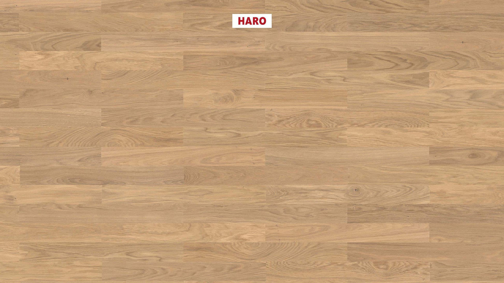 HARO PARKETT 4000 Stab Classico Eiche lichtweiß Trend strukturiert naturaDur Nut & Feder