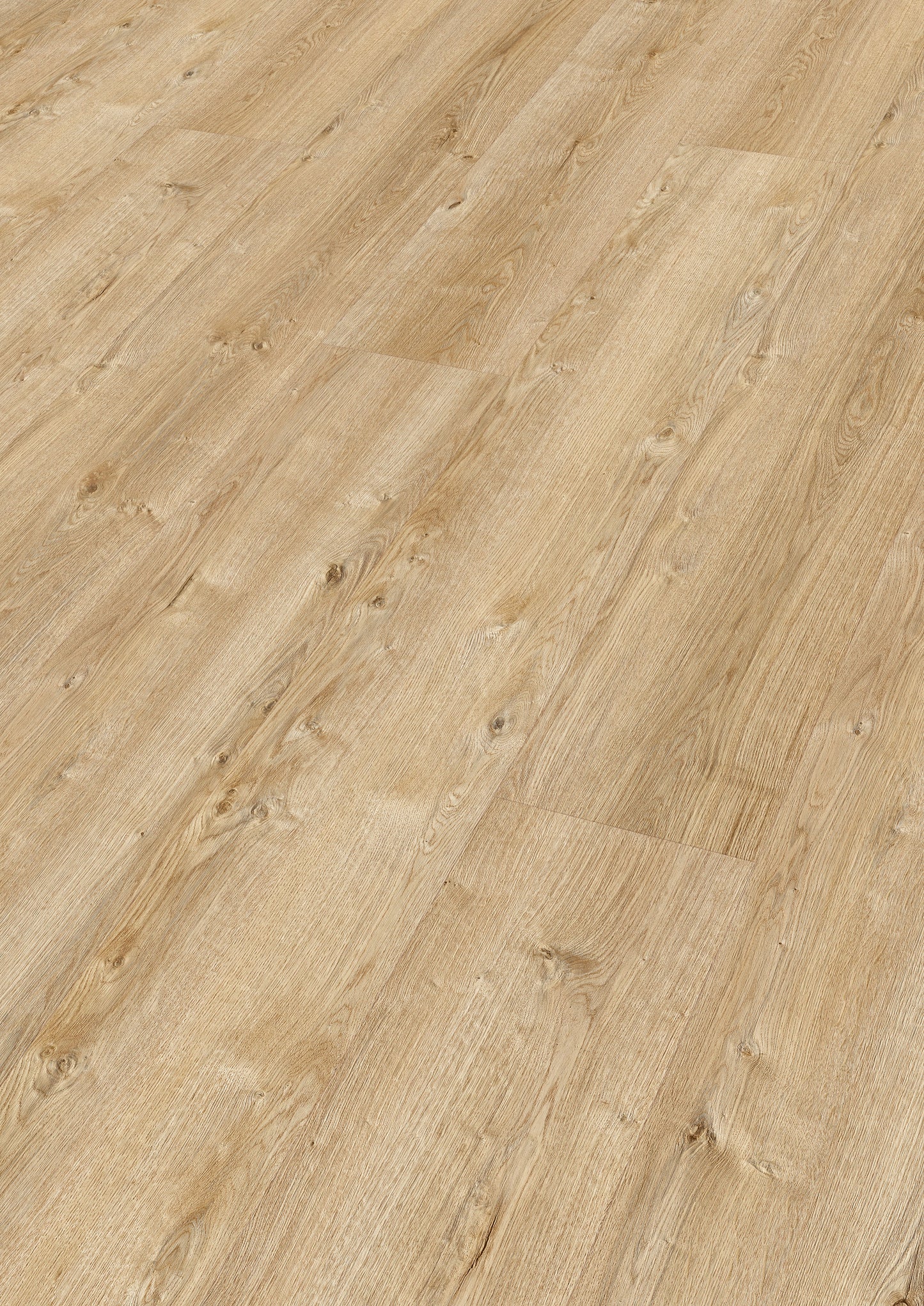 MEISTER | DL 400 | MeisterDesign. flex | Designboden | Farmeiche hell | 06831 | Porensynchron-Struktur