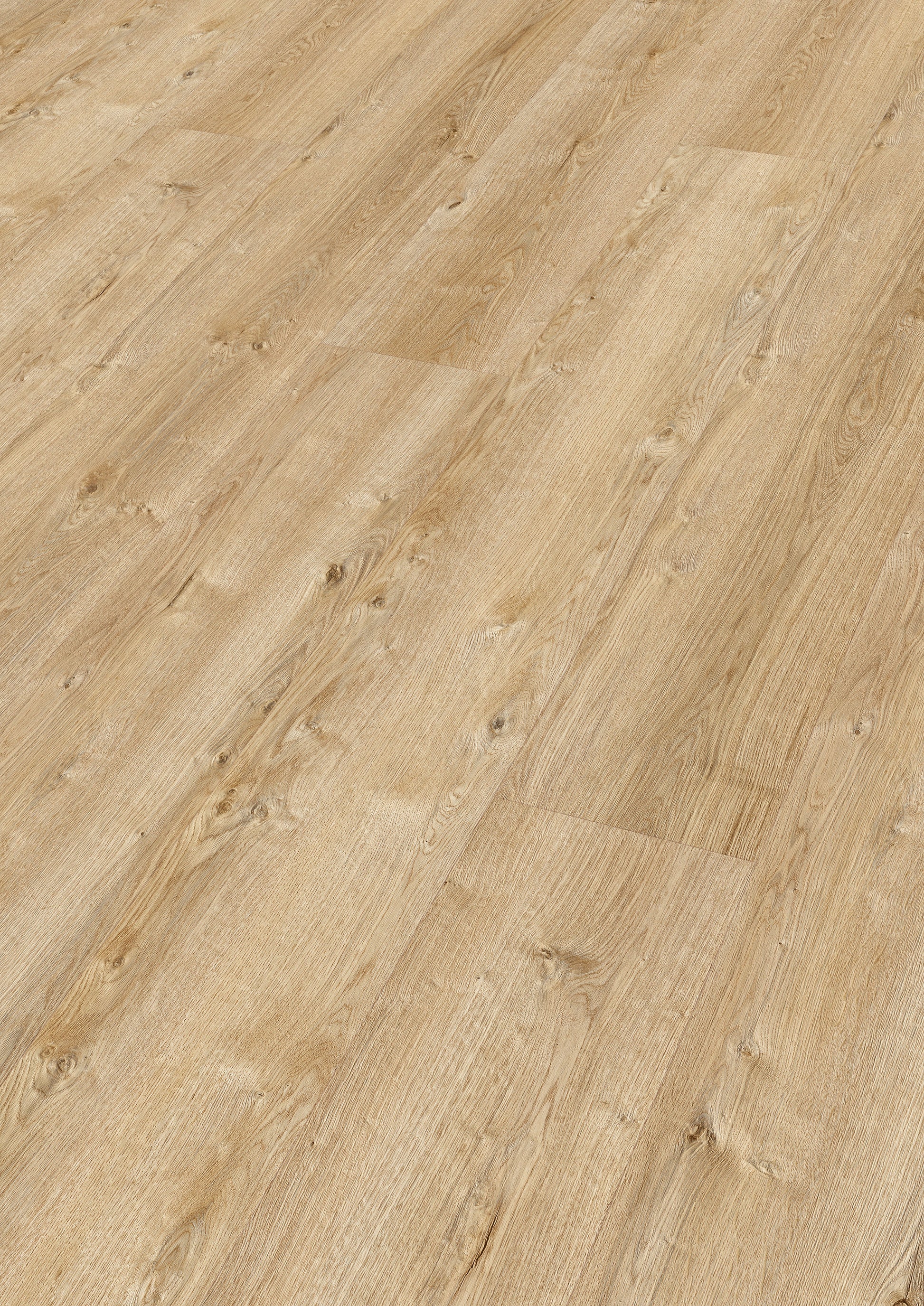 MEISTER | DL 400 | MeisterDesign. flex | Designboden | Farmeiche hell | 06831 | Porensynchron-Struktur