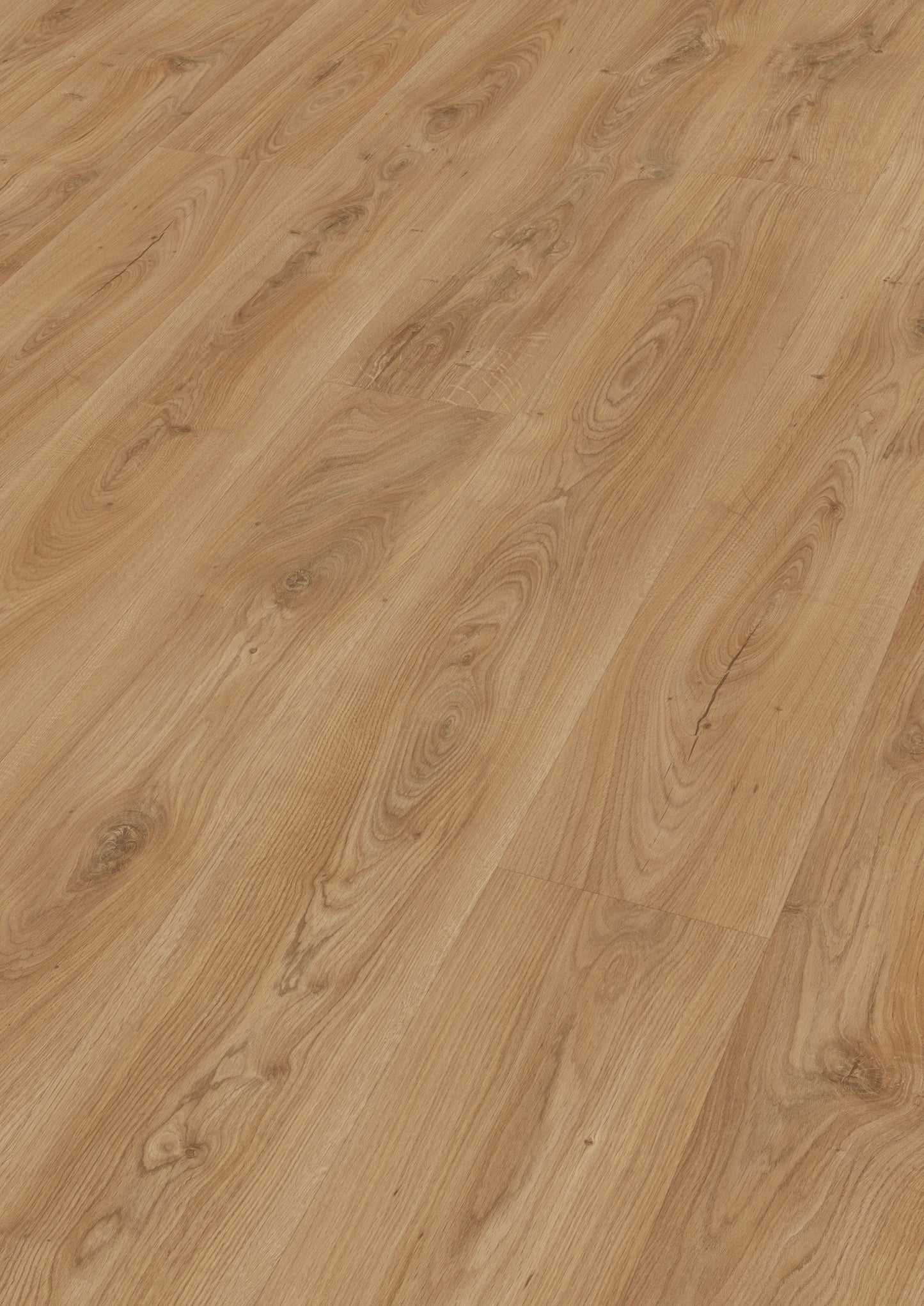 MEISTER | DL 600 S | MeisterDesign. comfort | Designboden | Schlosseiche natur | 06836 | Porensynchron-Struktur