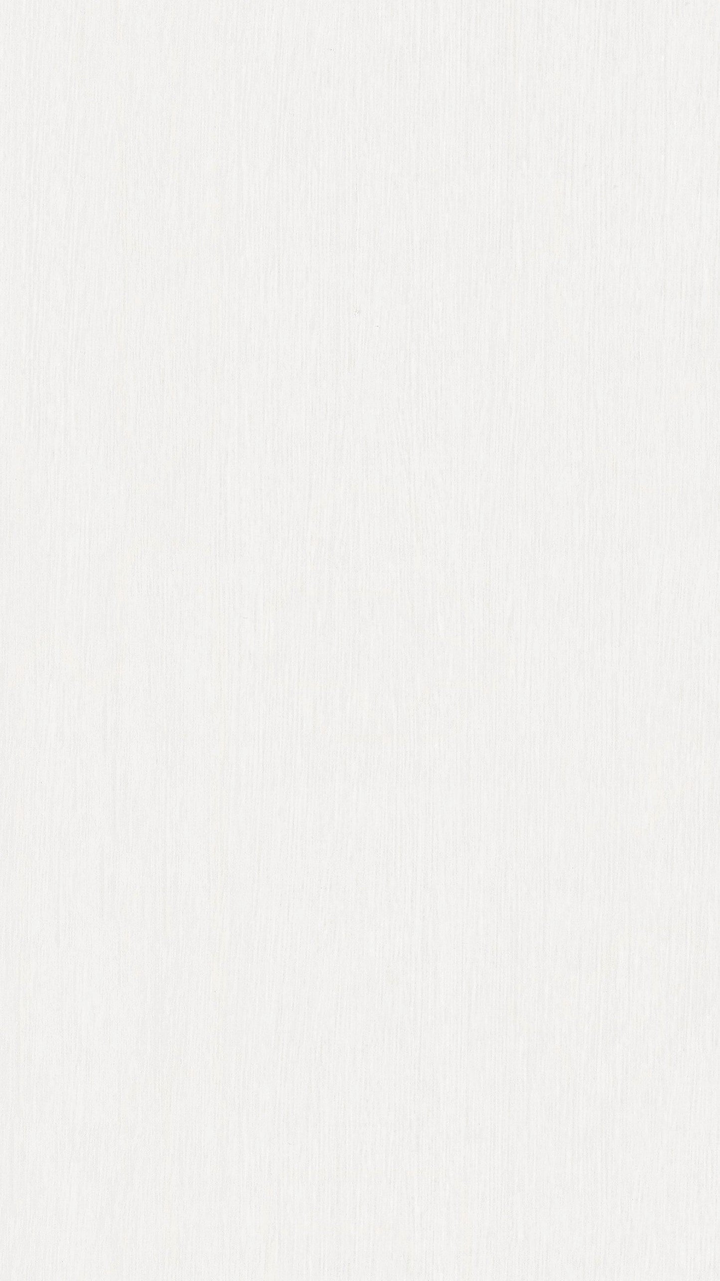 MEISTER | DP 250 | MeisterPaneele. bocado | Dekorpaneele | Fineline weiß | 04029