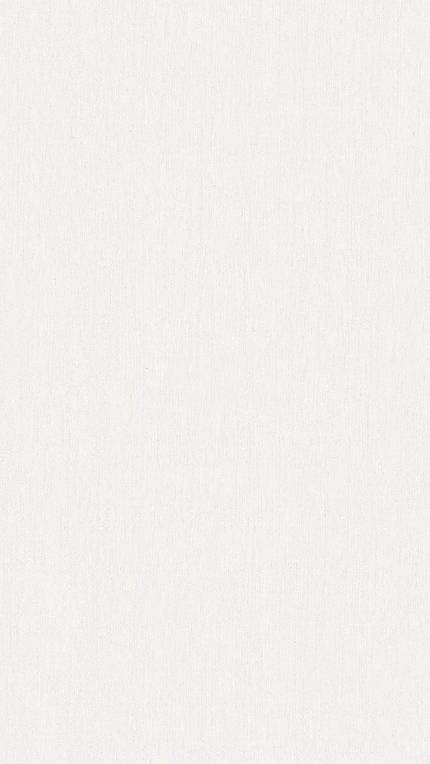 MEISTER | DP 250 | MeisterPaneele. bocado | Dekorpaneele | Fineline weiß | 04029