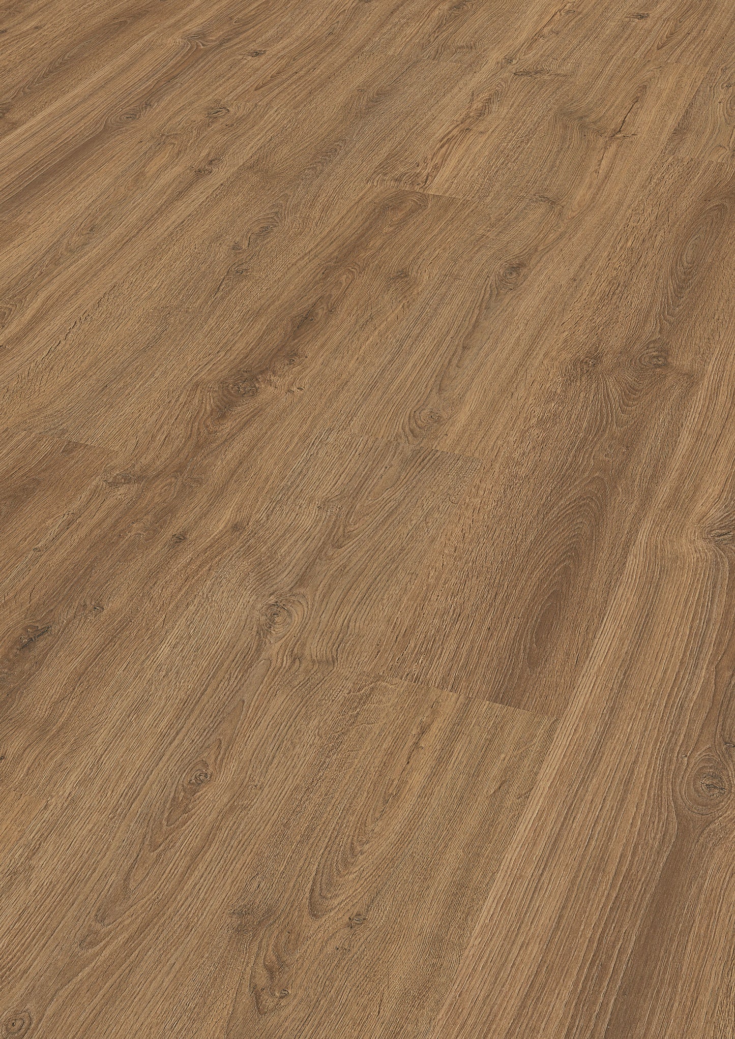 MEISTER | LC 150 | MeisterDesign. laminate | Laminatboden | Eiche Muscat | 06416 | Porensynchron-Struktur
