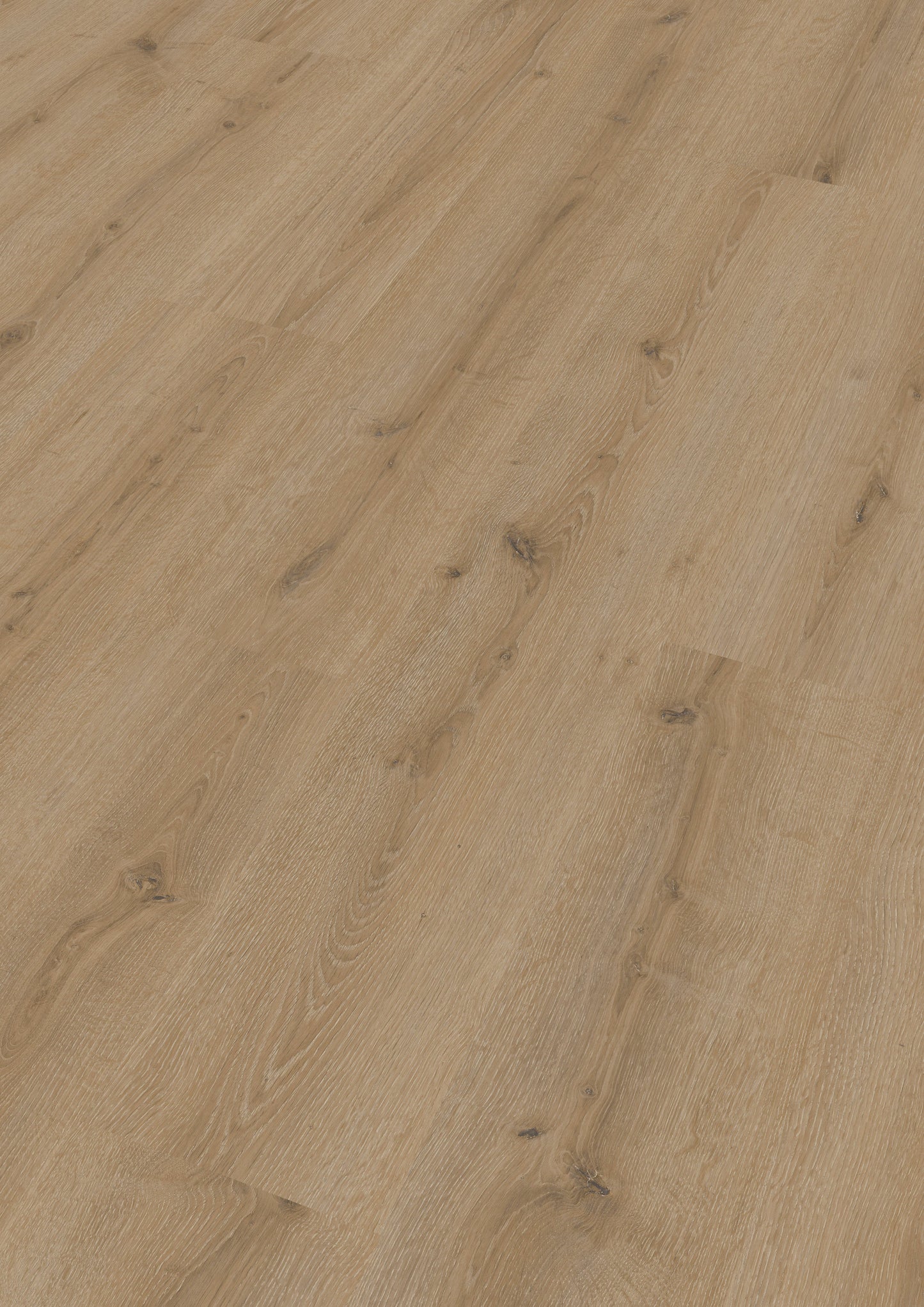 MEISTER | LC 150 | MeisterDesign. laminate | Laminatboden | Turmeiche creme | 07120 | Porensynchron-Struktur
