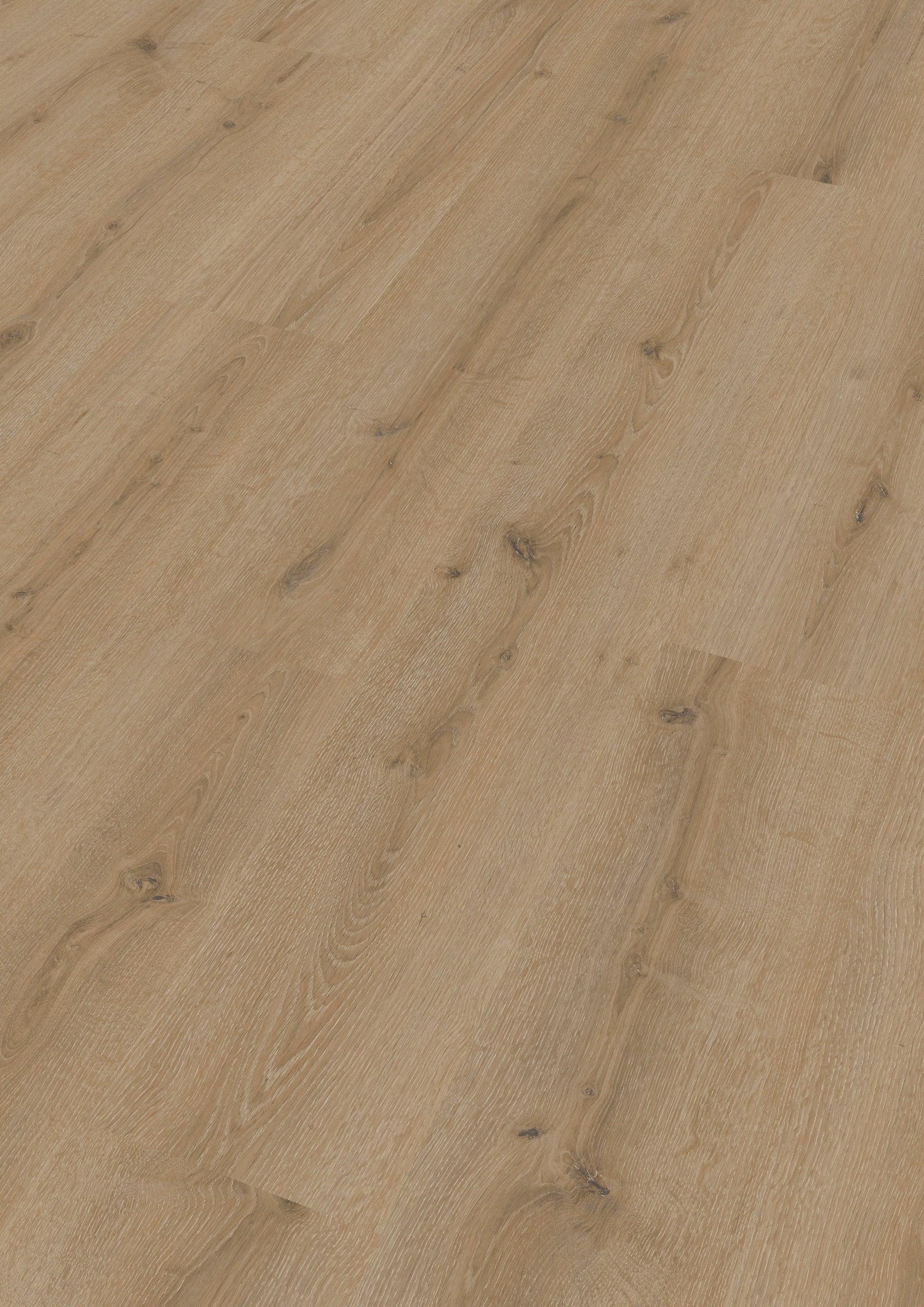 MEISTER | LC 150 | MeisterDesign. laminate | Laminatboden | Turmeiche creme | 07120 | Porensynchron-Struktur