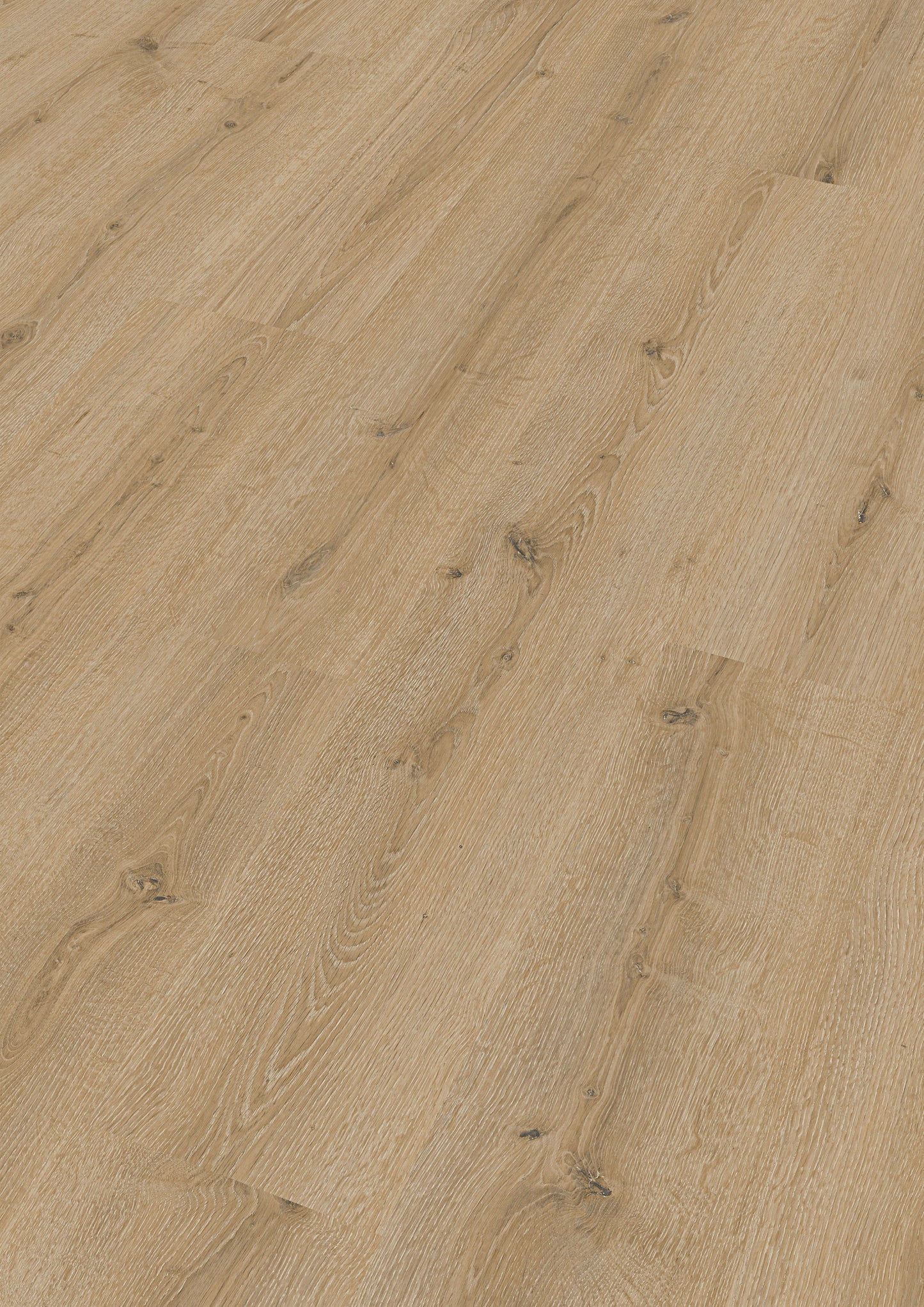 MEISTER | LC 150 | MeisterDesign. laminate | Laminatboden | Turmeiche hell | 07141 | Porensynchron-Struktur