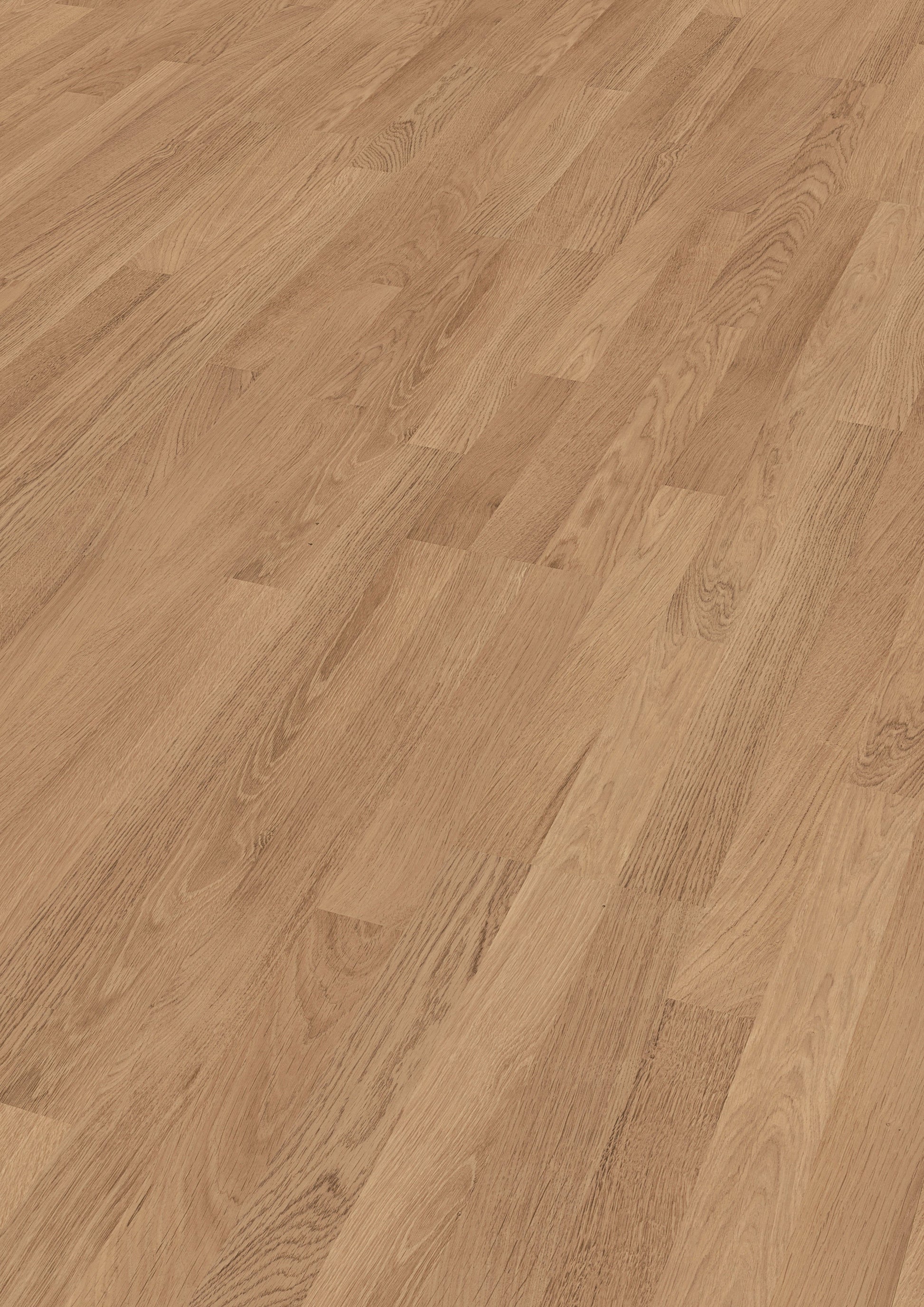 MEISTER | LC 55 | MeisterDesign. laminate | Laminatboden | Eiche natur | 06067 | Porenstruktur