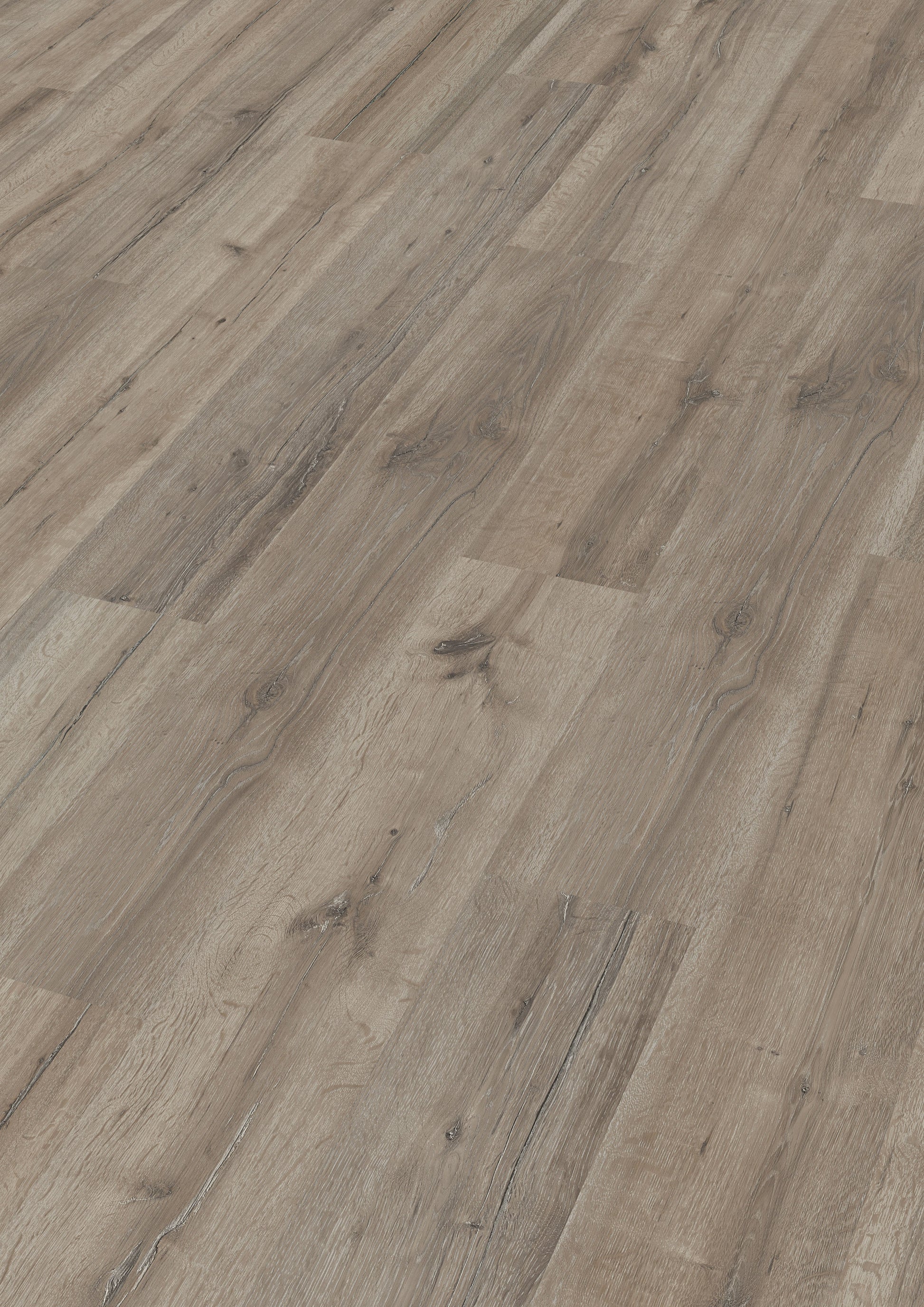 MEISTER | LC 55 S | MeisterDesign. laminate | Laminatboden | Grey Oak | 06671 | Easy-to-clean-Struktur