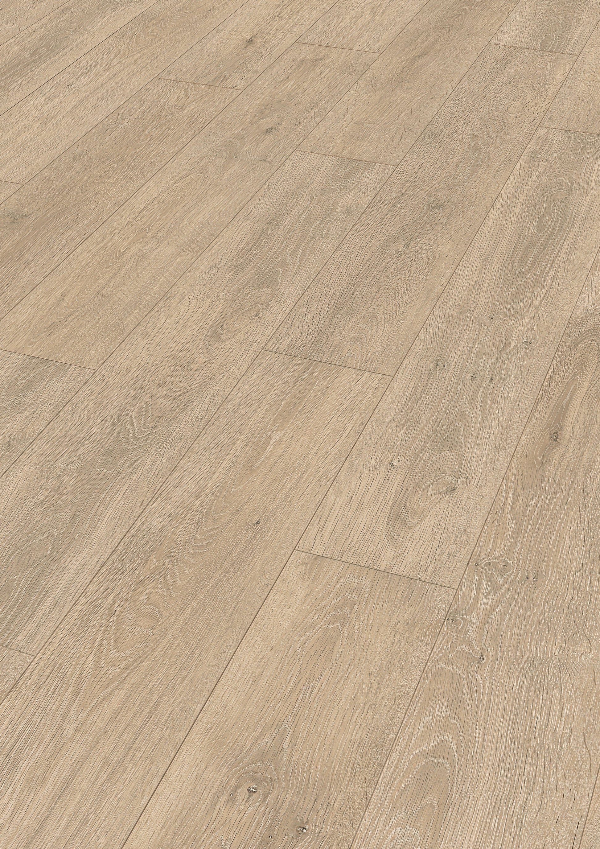 MEISTER | LD 150 | MeisterDesign. laminate | Laminatboden | Eiche Caledonia | 06421 | Woodfinish-Matt-Struktur