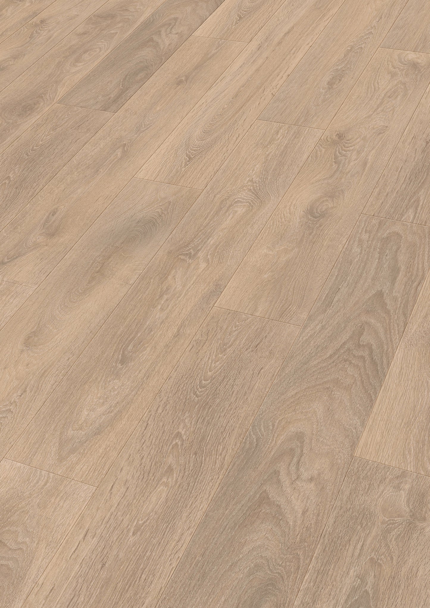 MEISTER | LD 150 | MeisterDesign. laminate | Laminatboden | Eiche sand | 07004 | Porensynchron-Struktur